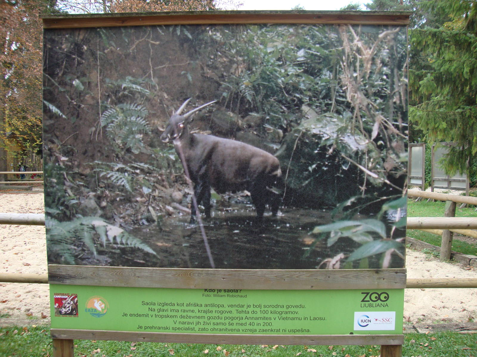 Ljubljana Zoo October 2013