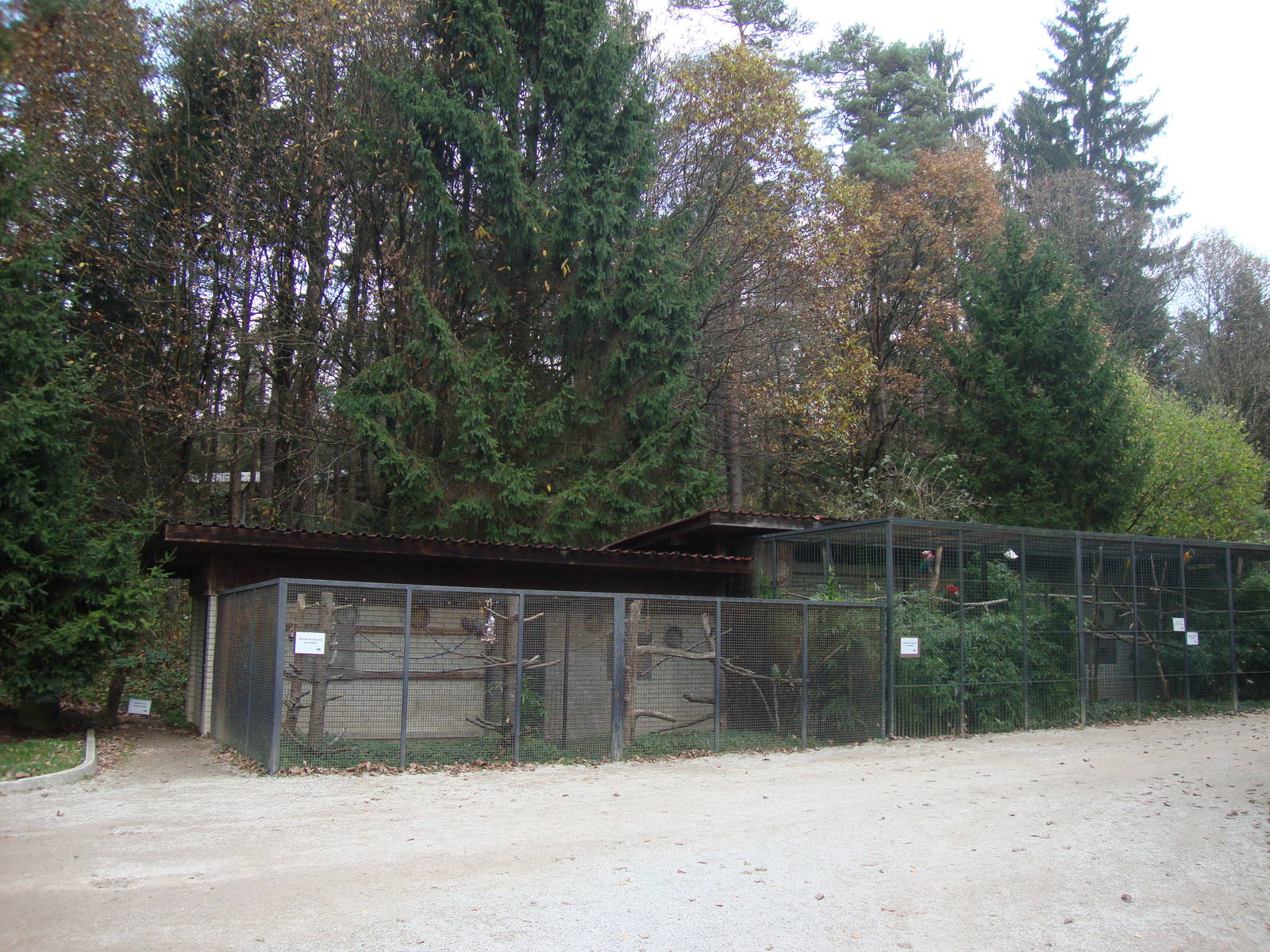 Ljubljana Zoo October 2013