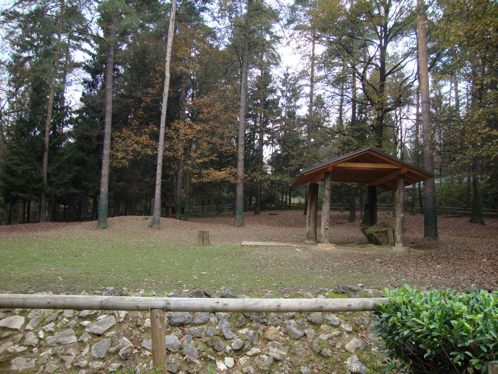 Ljubljana Zoo October 2013