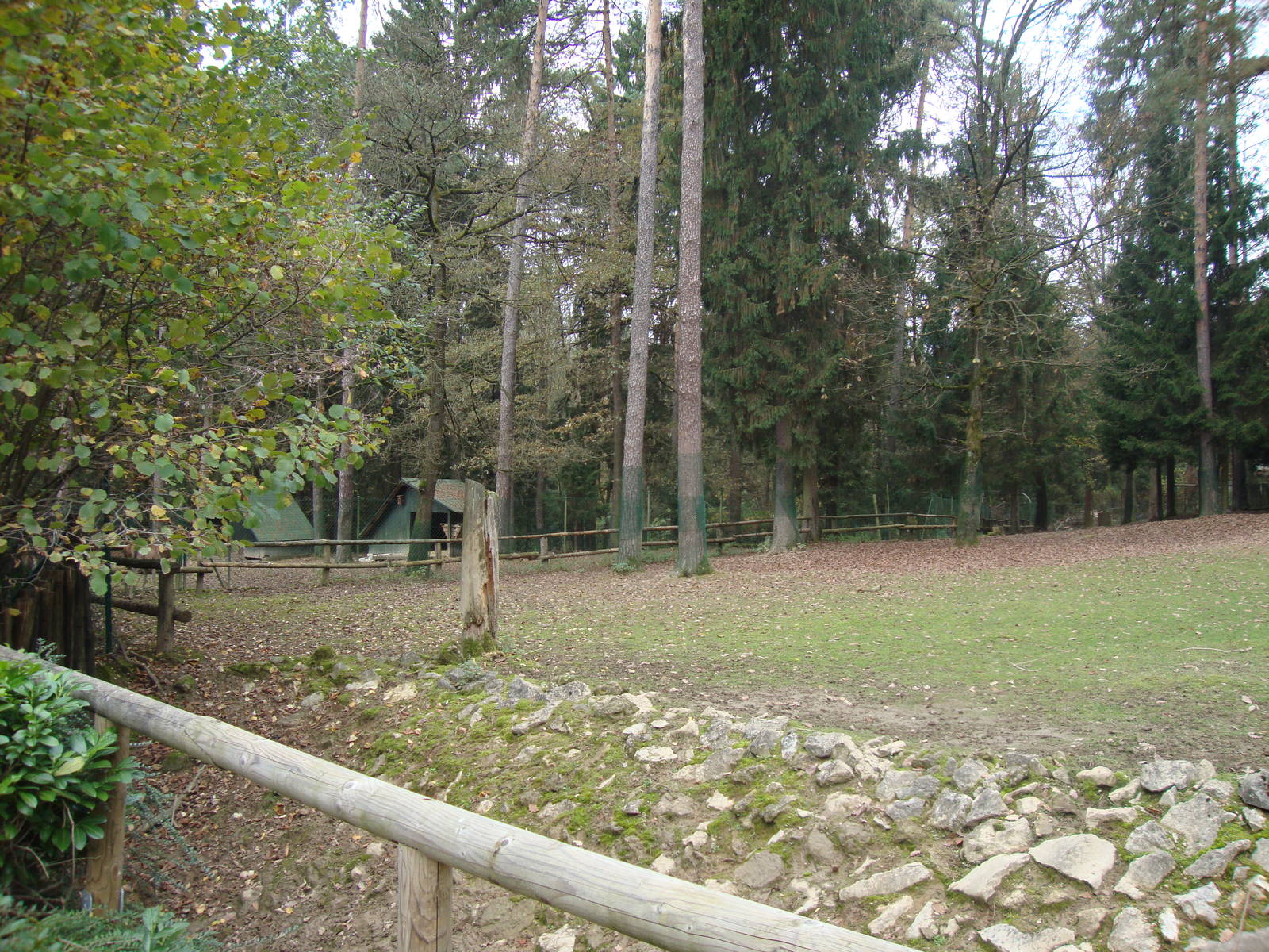 Ljubljana Zoo October 2013