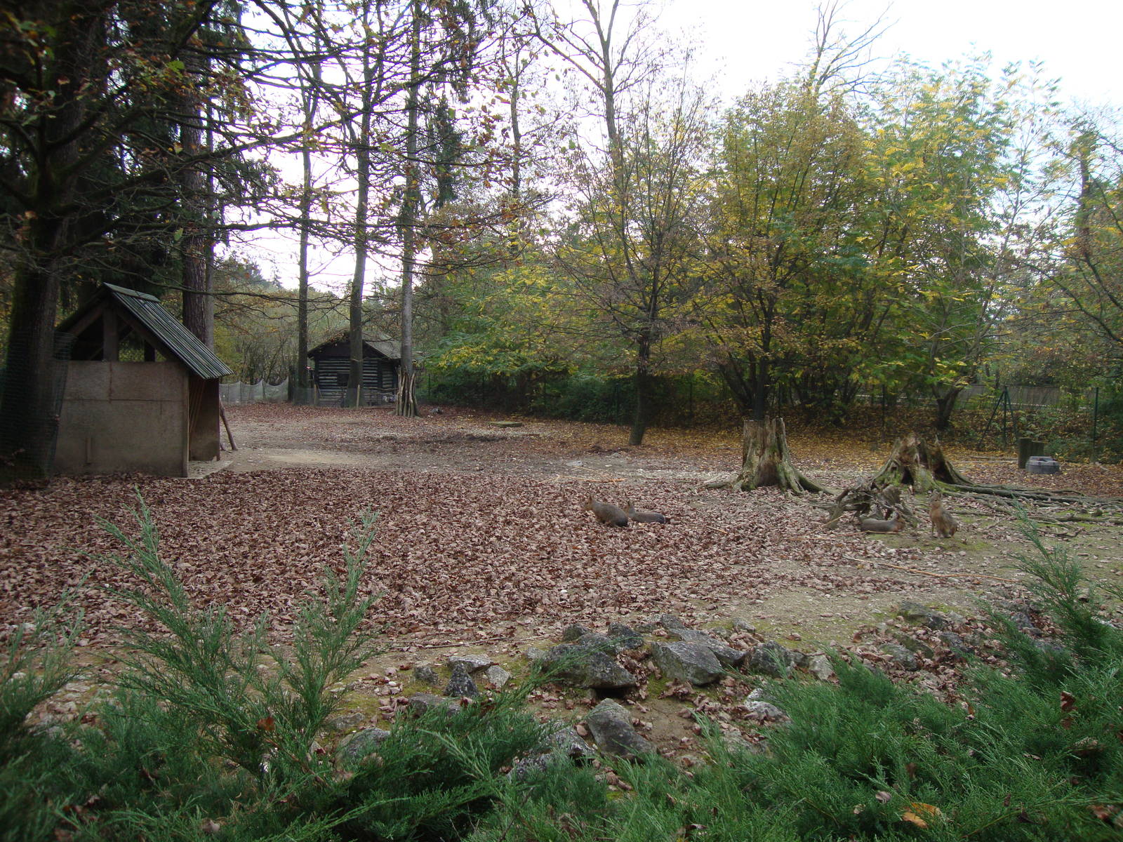 Ljubljana Zoo October 2013