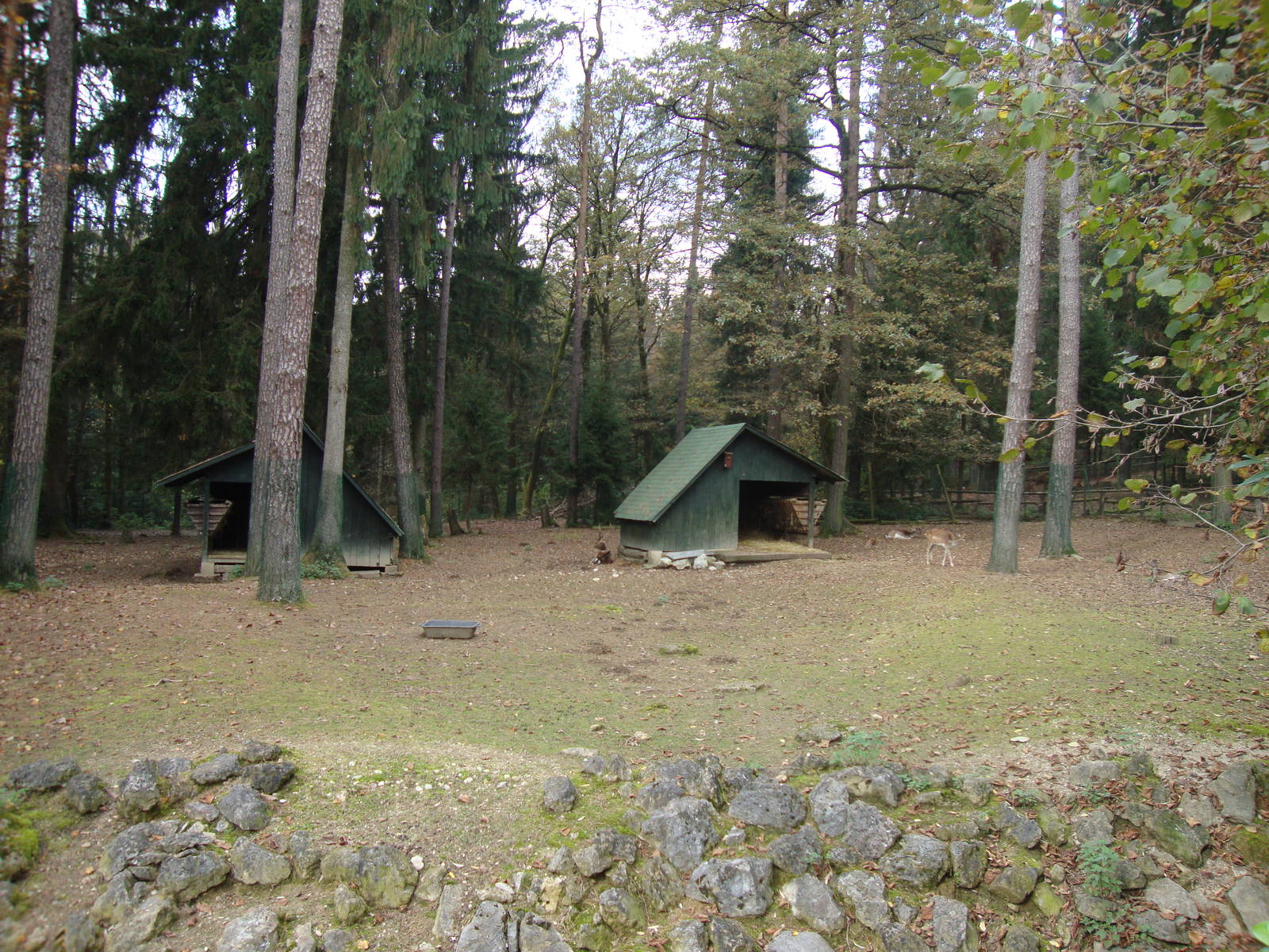 Ljubljana Zoo October 2013
