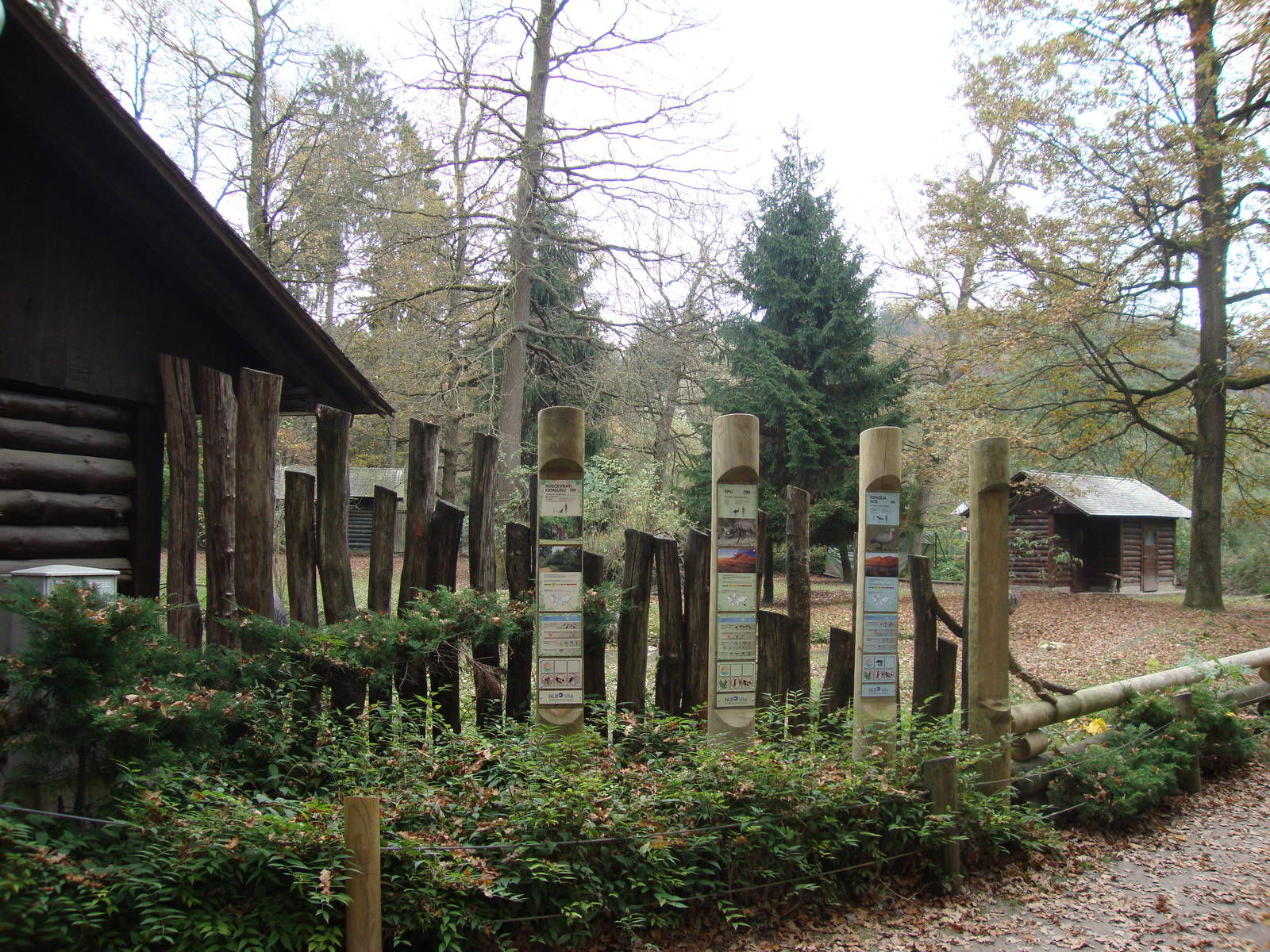 Ljubljana Zoo October 2013