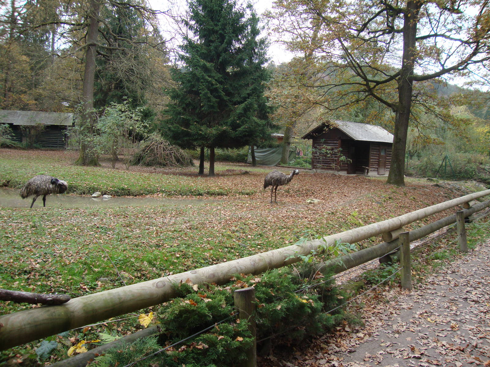 Ljubljana Zoo October 2013
