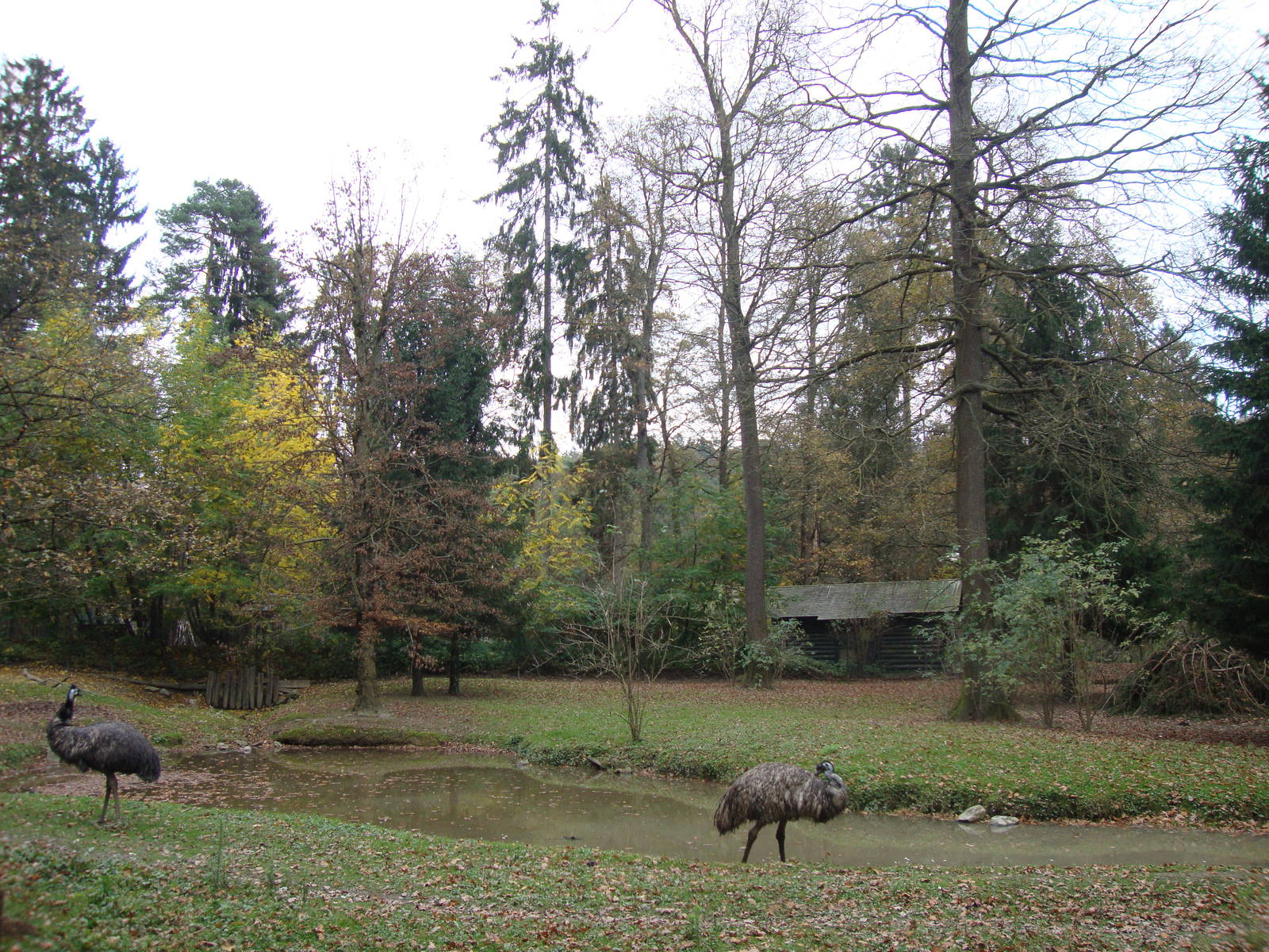 Ljubljana Zoo October 2013