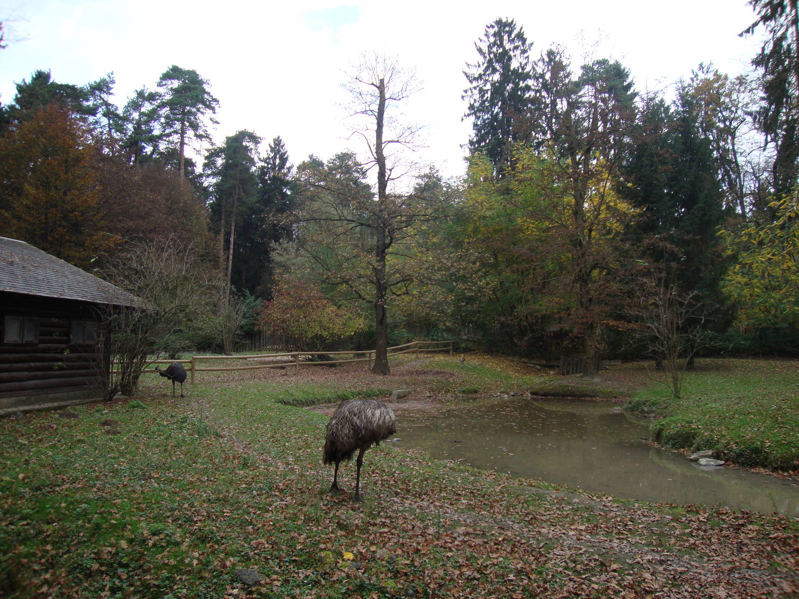 Ljubljana Zoo October 2013