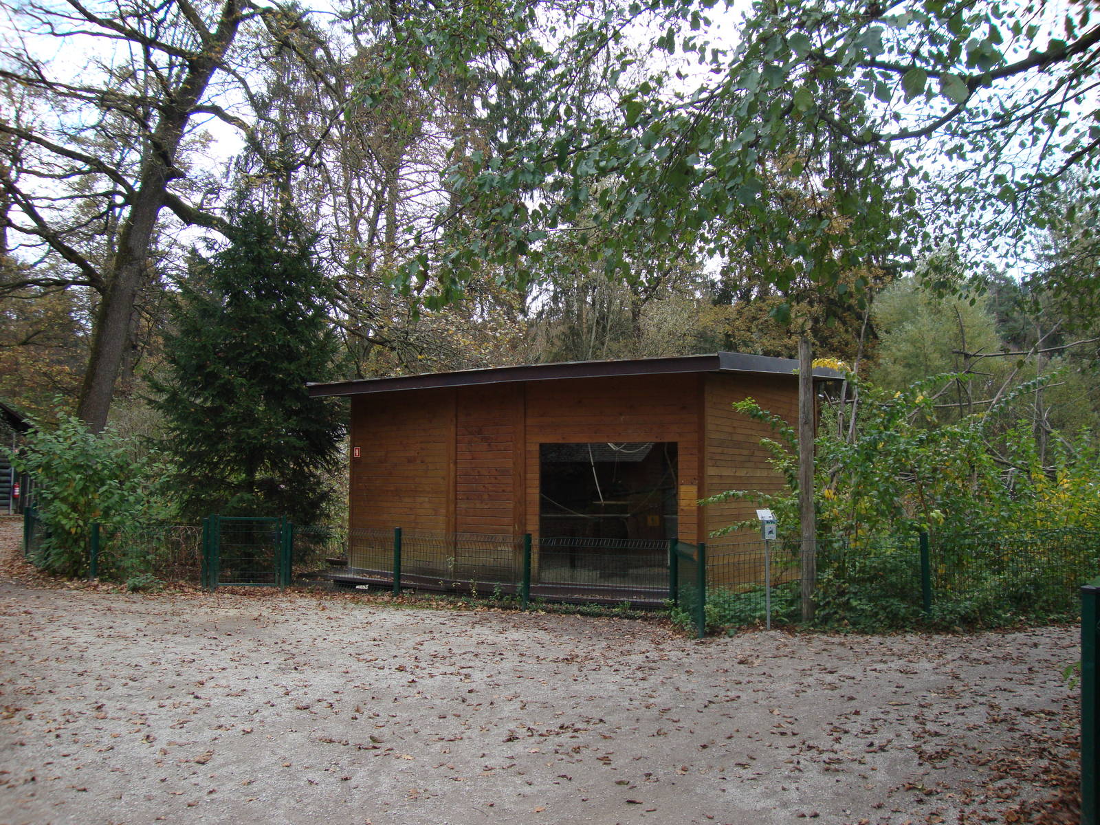 Ljubljana Zoo October 2013