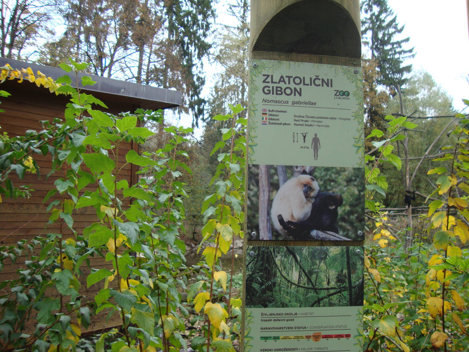 Ljubljana Zoo October 2013