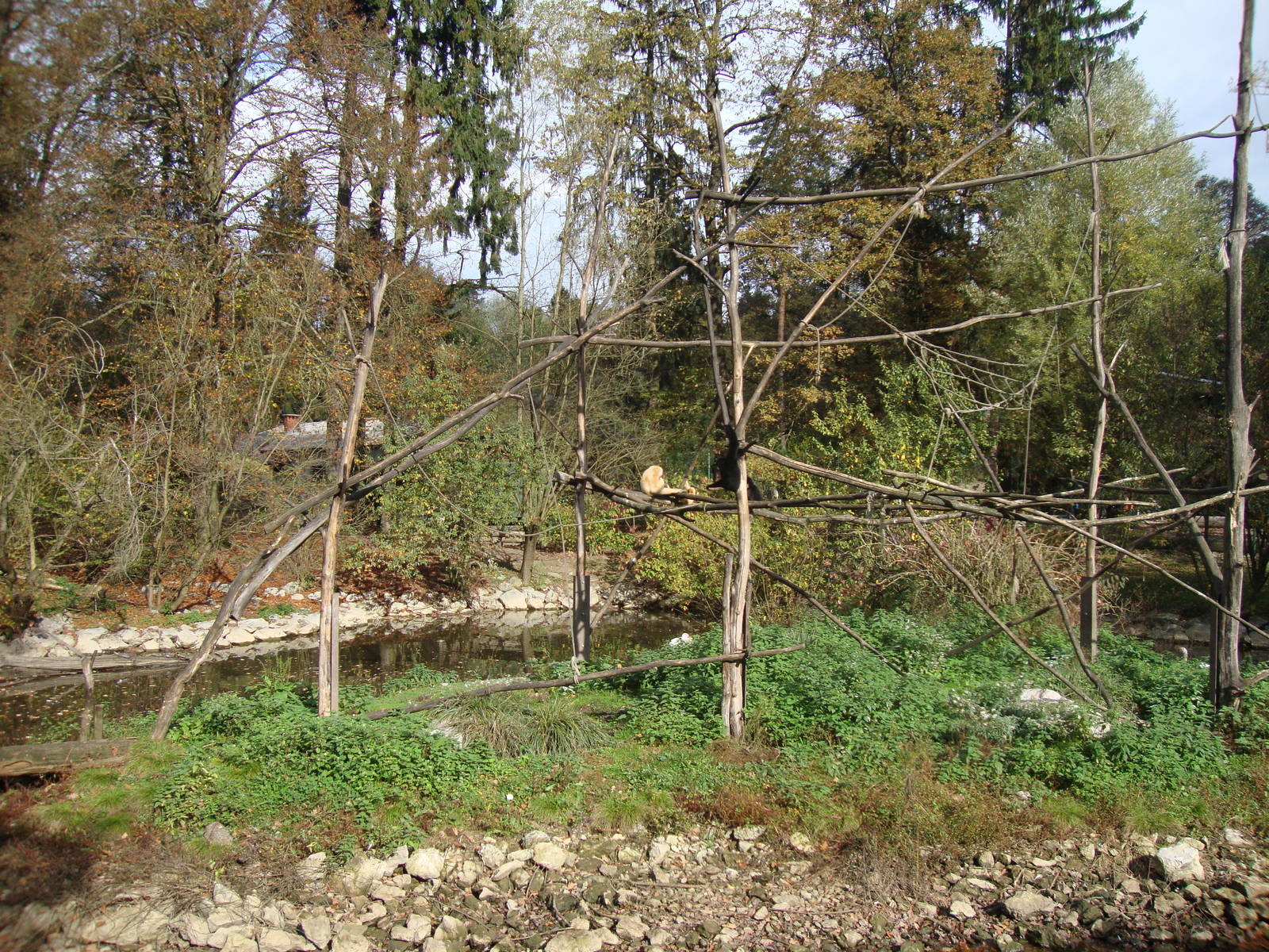 Ljubljana Zoo October 2013