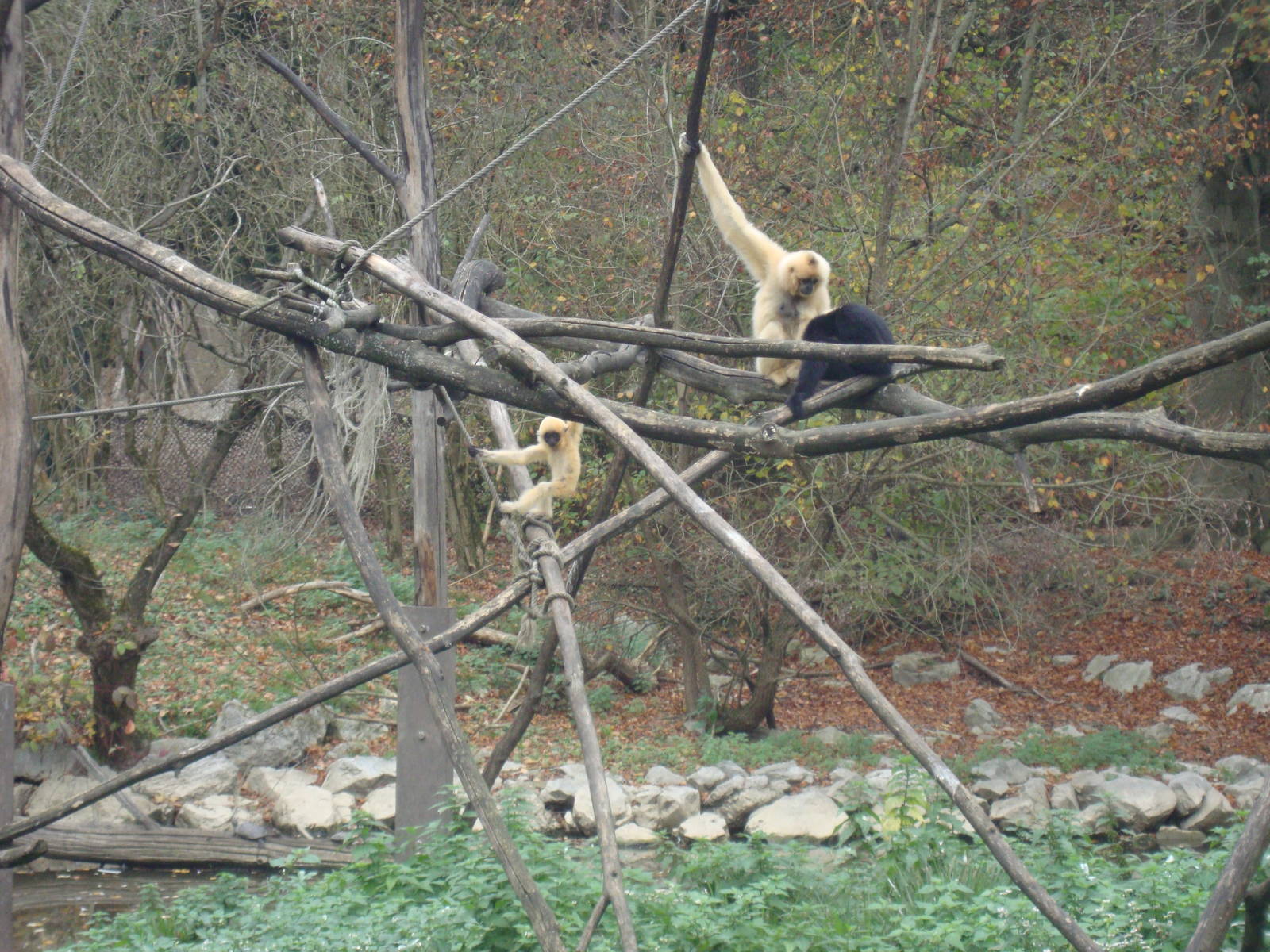 Ljubljana Zoo October 2013