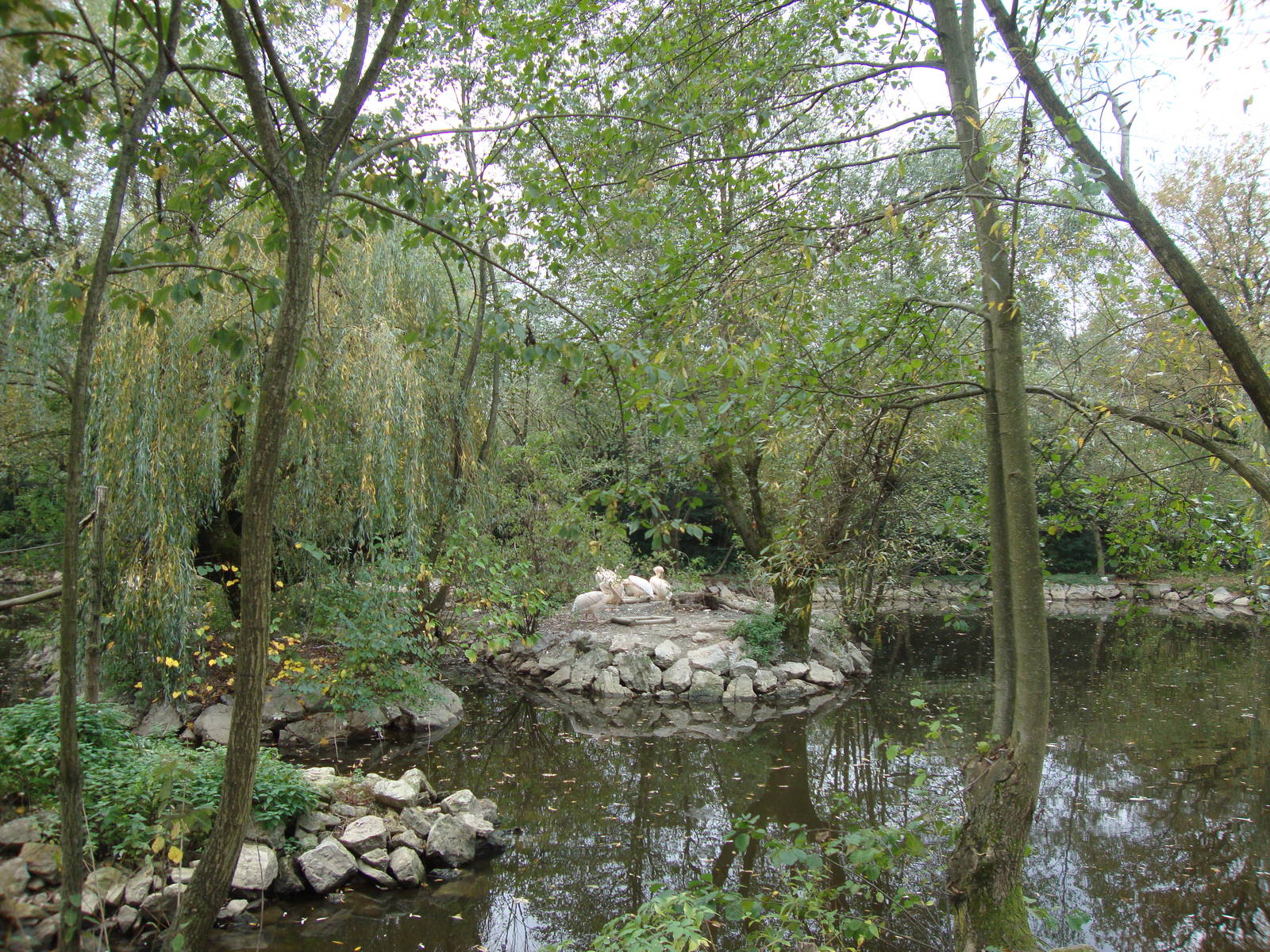Ljubljana Zoo October 2013