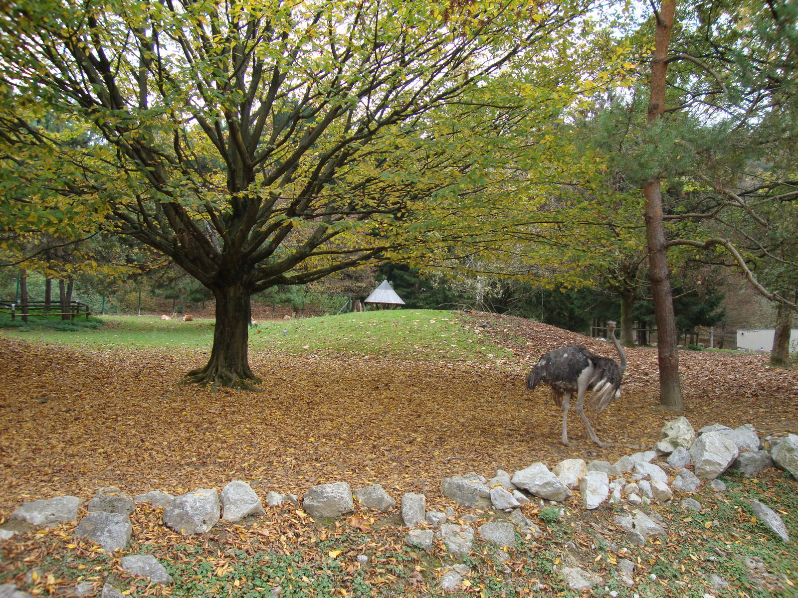 Ljubljana Zoo October 2013