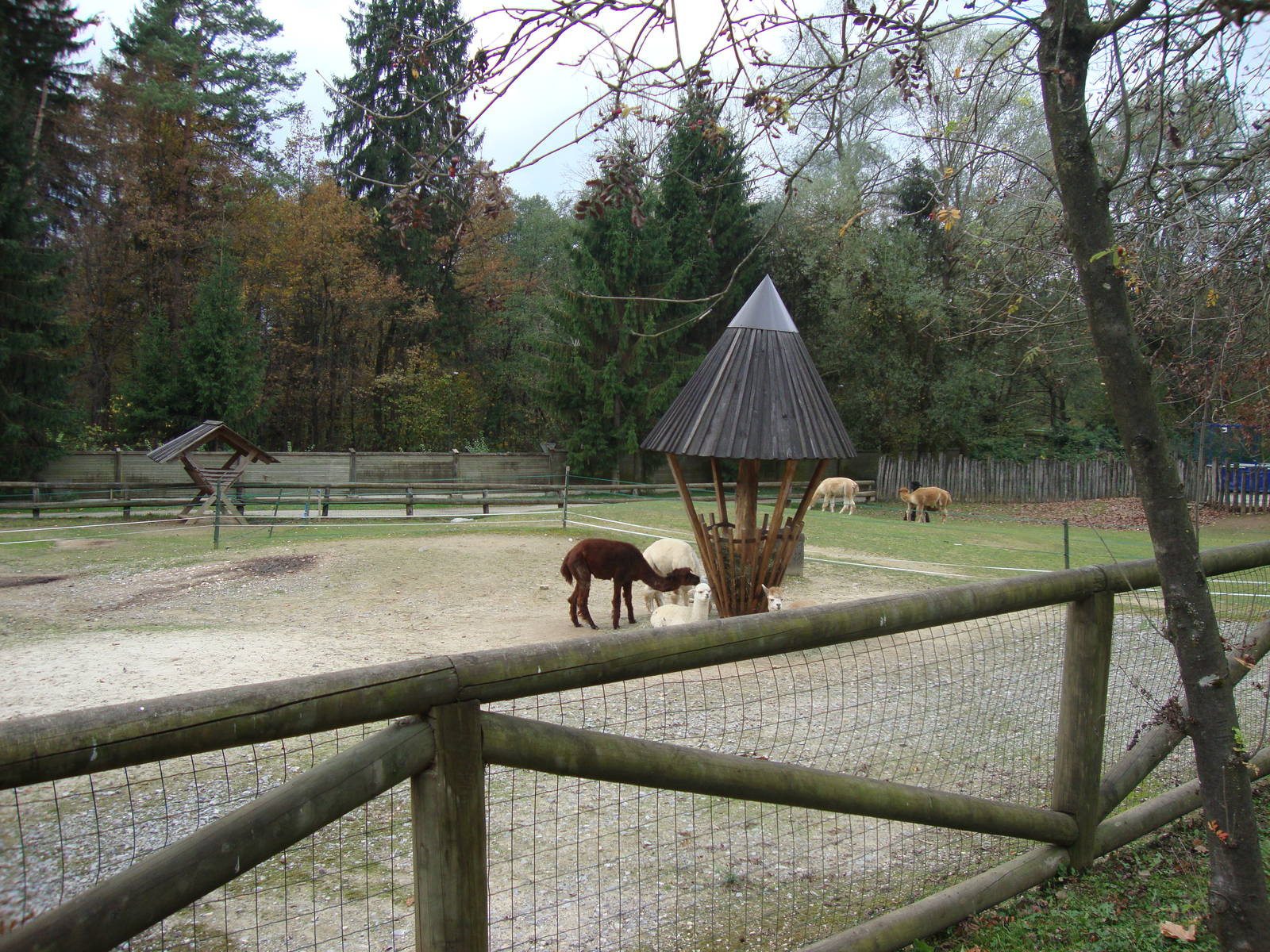 Ljubljana Zoo October 2013