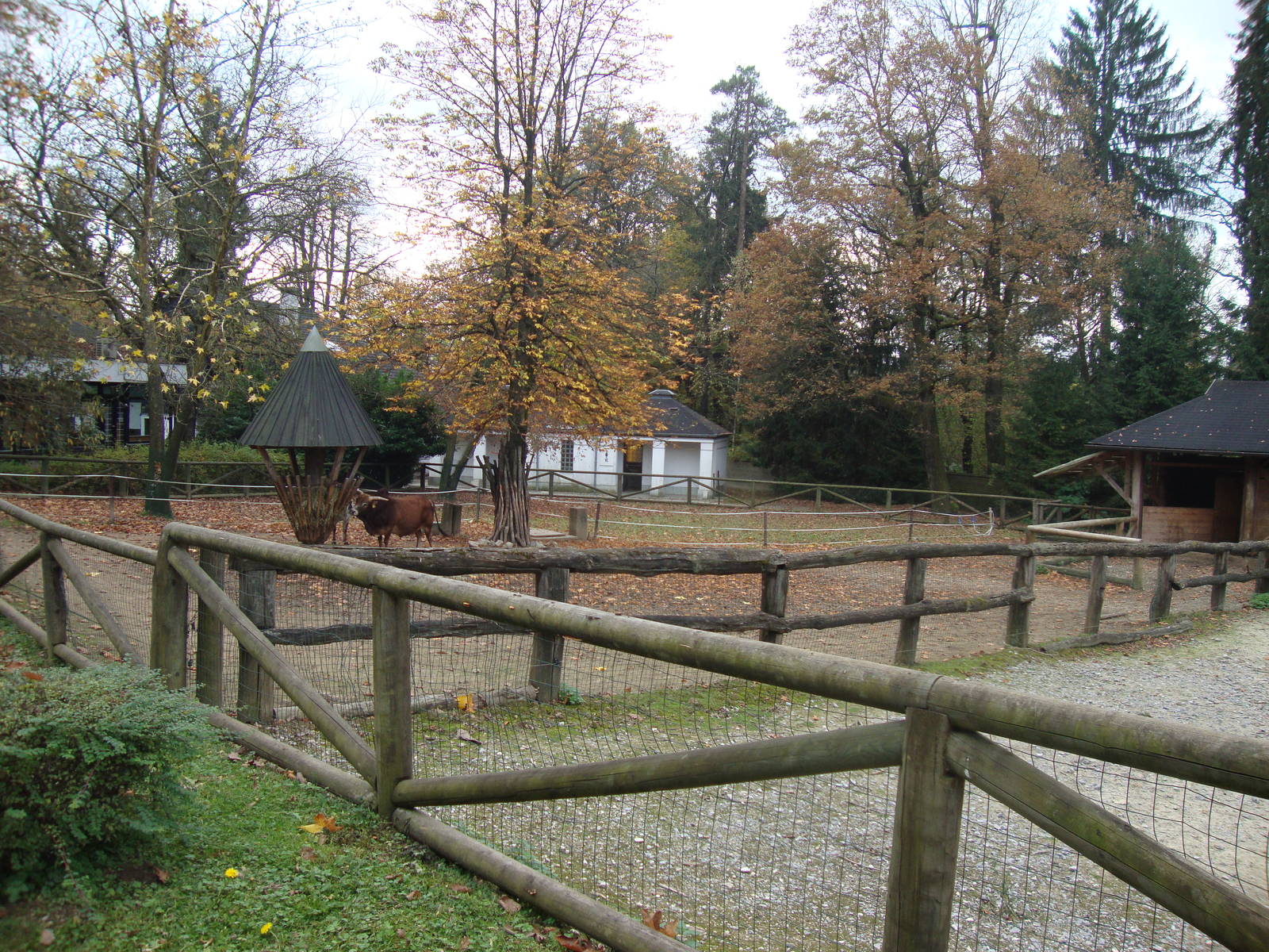 Ljubljana Zoo October 2013