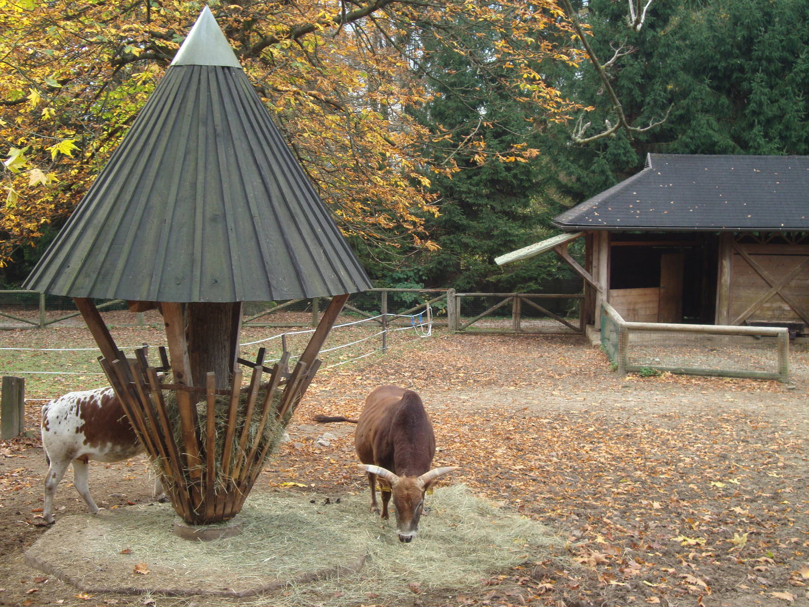 Ljubljana Zoo October 2013