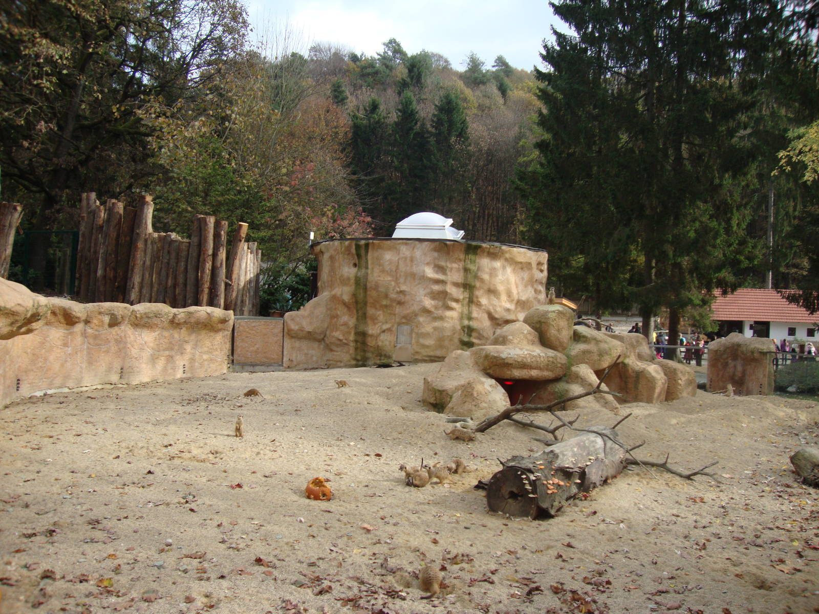 Ljubljana Zoo October 2013