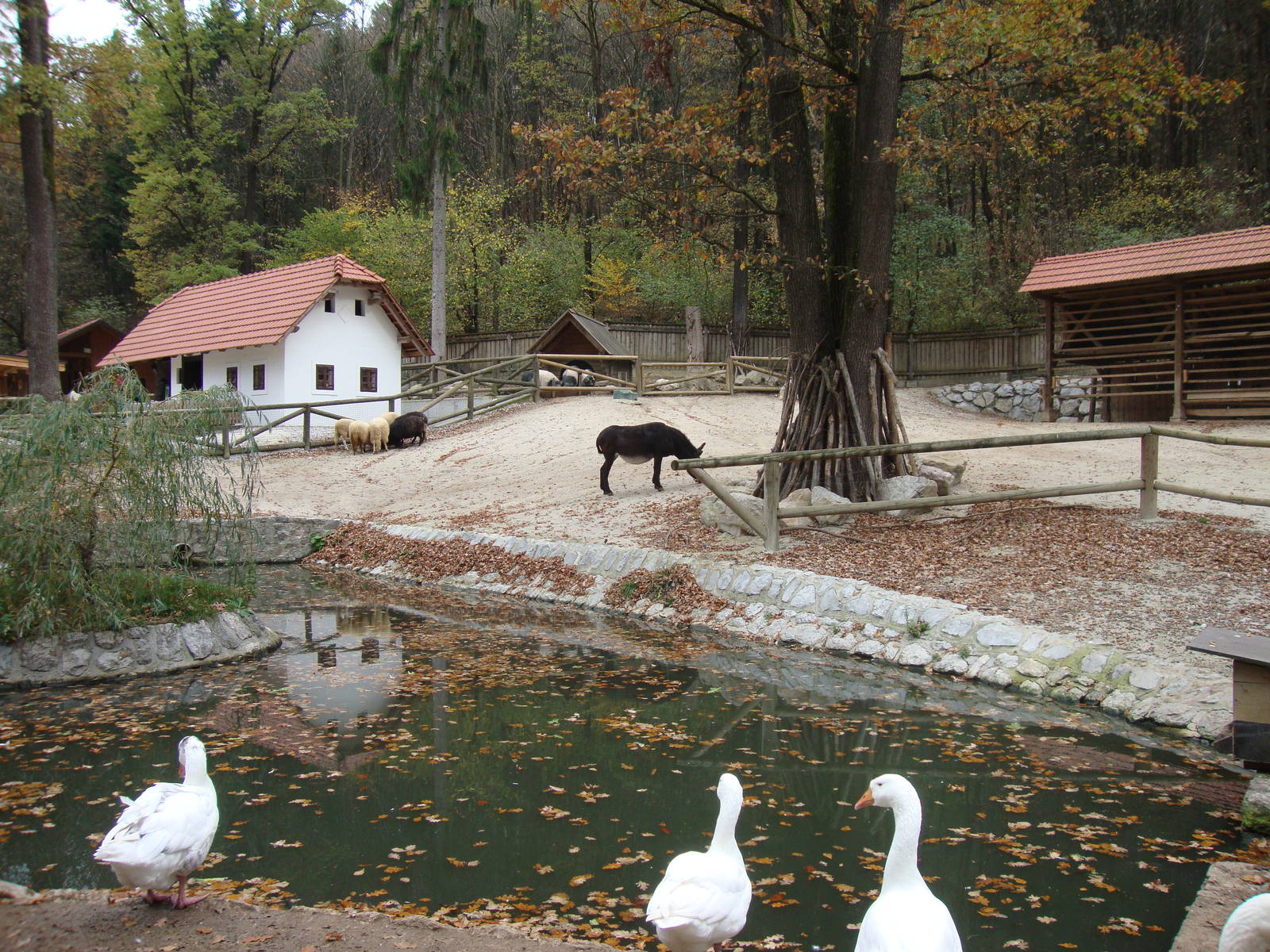Ljubljana Zoo October 2013