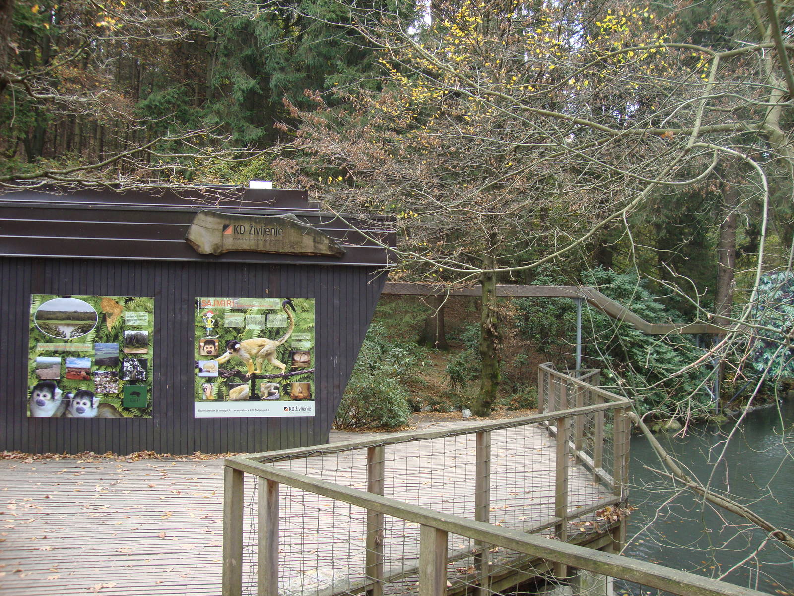 Ljubljana Zoo October 2013