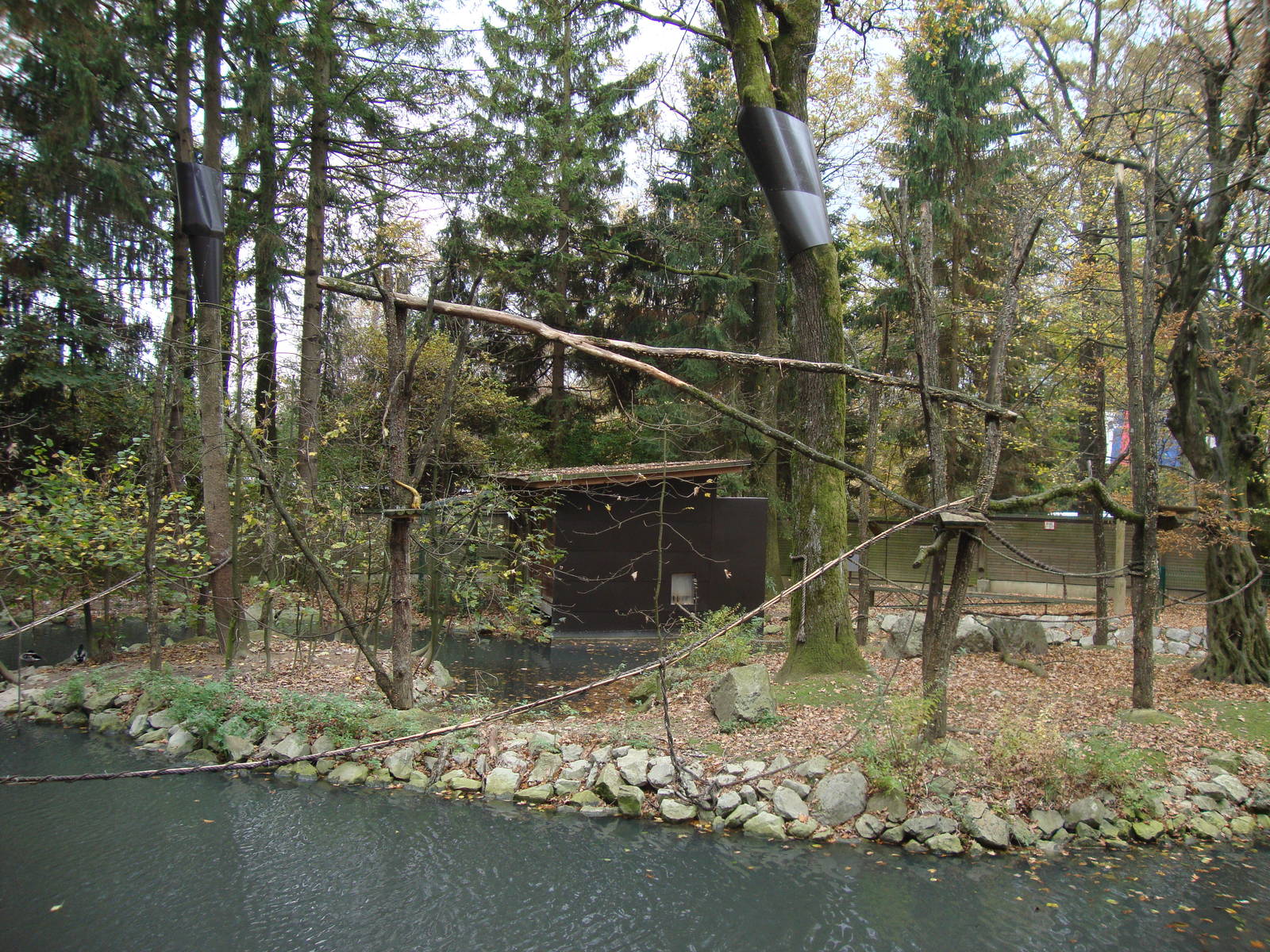 Ljubljana Zoo October 2013