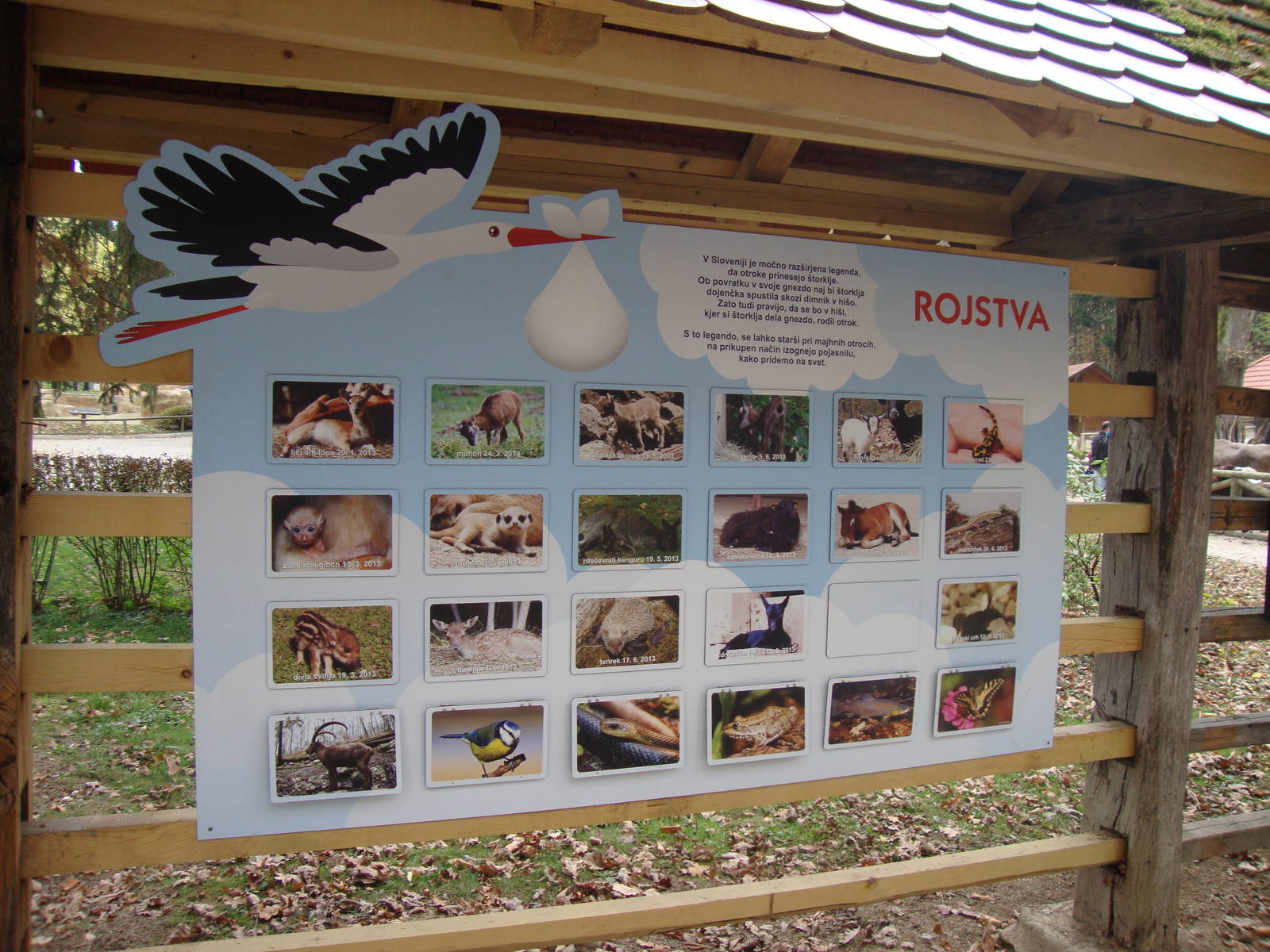 Ljubljana Zoo October 2013