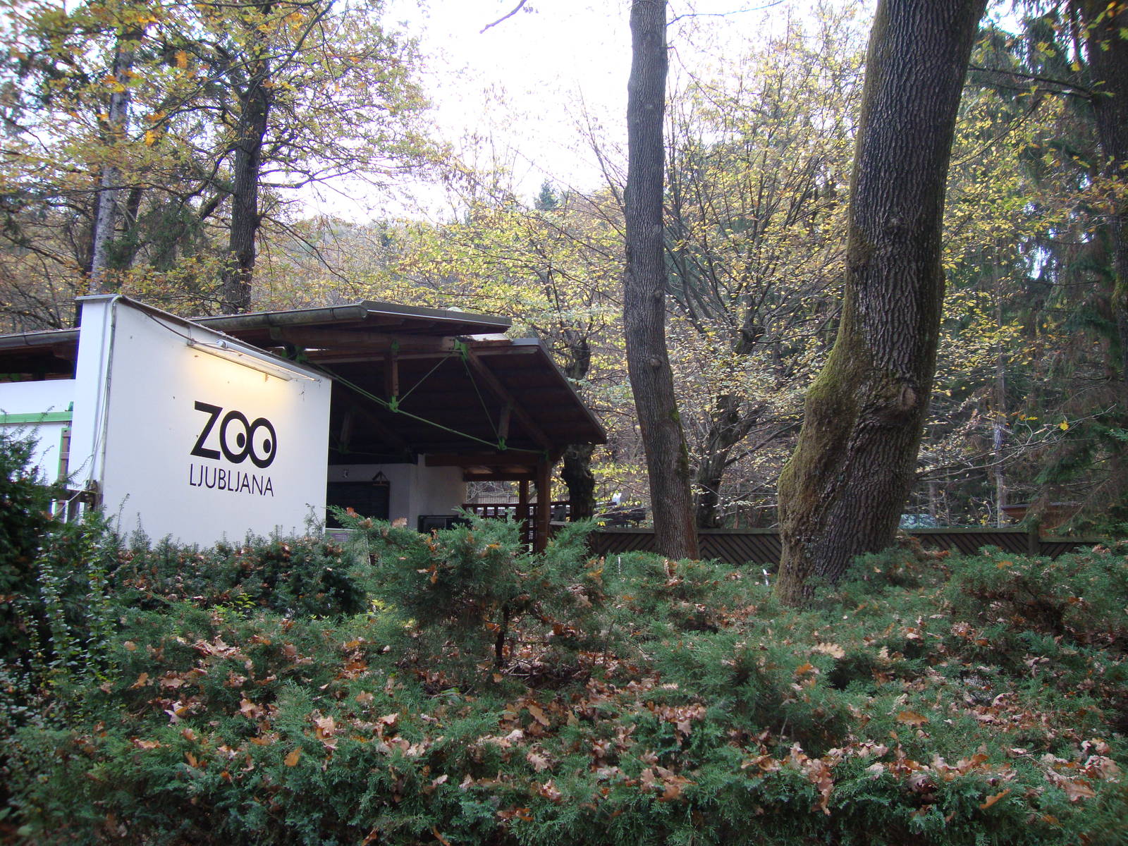 Ljubljana Zoo October 2013