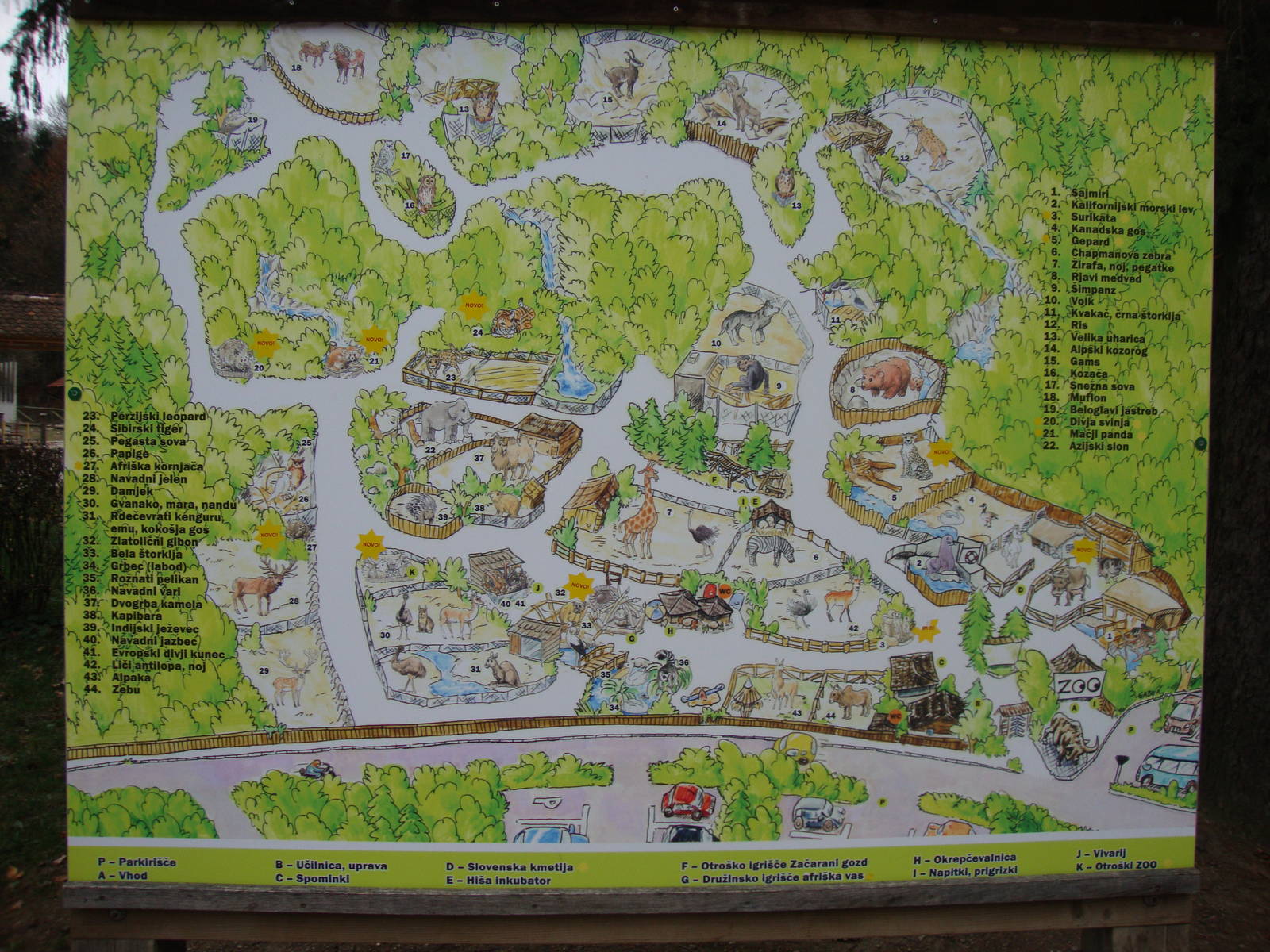 Ljubljana Zoo October 2013