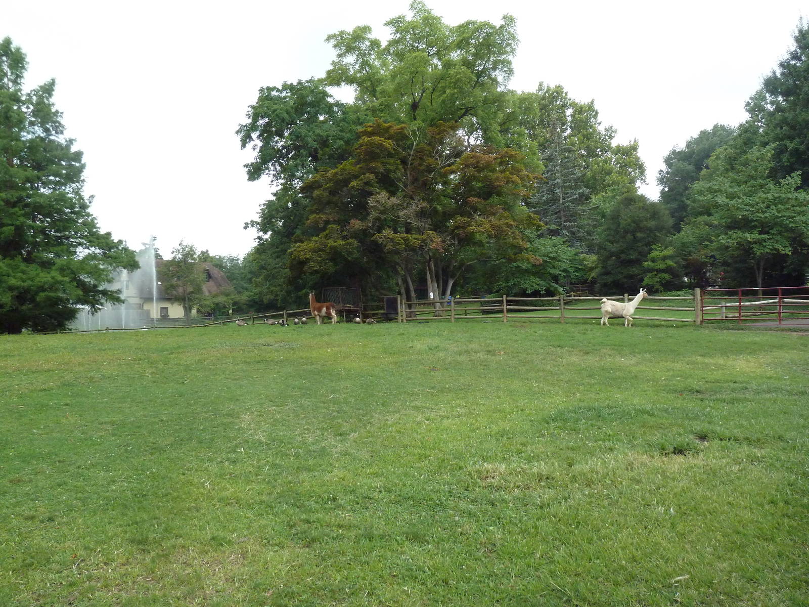 Llama/Alpaca Exhibit