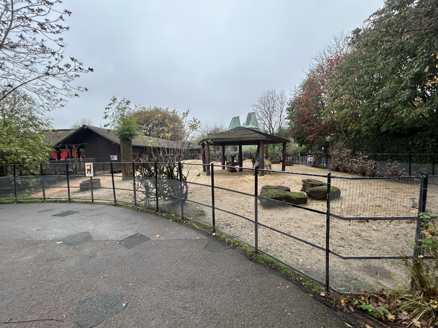 Llama & Alpaca Exhibit