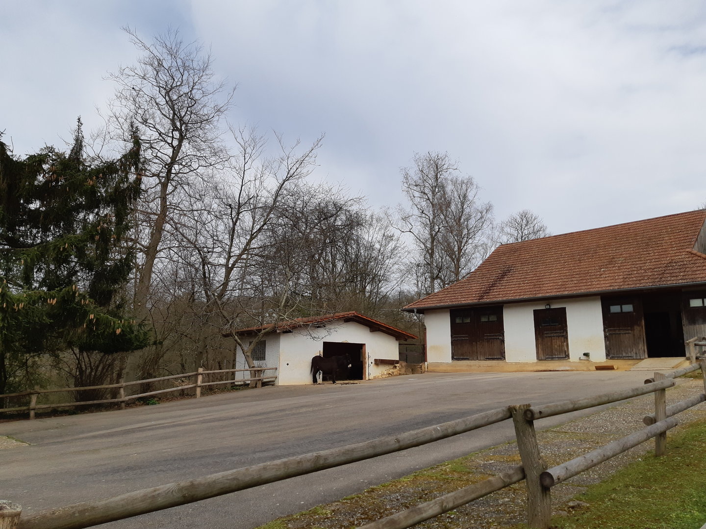 Llama and donkey parking lot - Zoo Saarbrücken