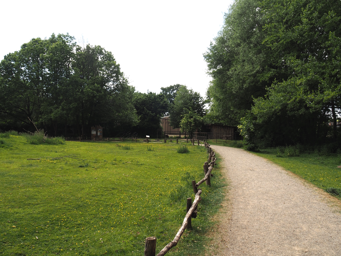 Llama and Patagonian mara walk-through exhibit, 2025-05-22