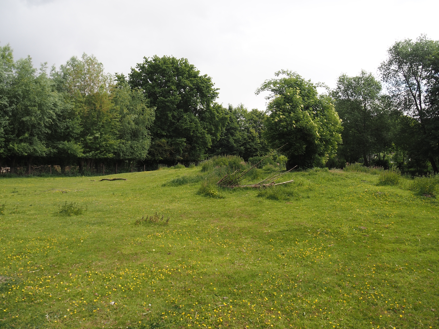 Llama and Patagonian mara walk-through exhibit, 2025-05-22