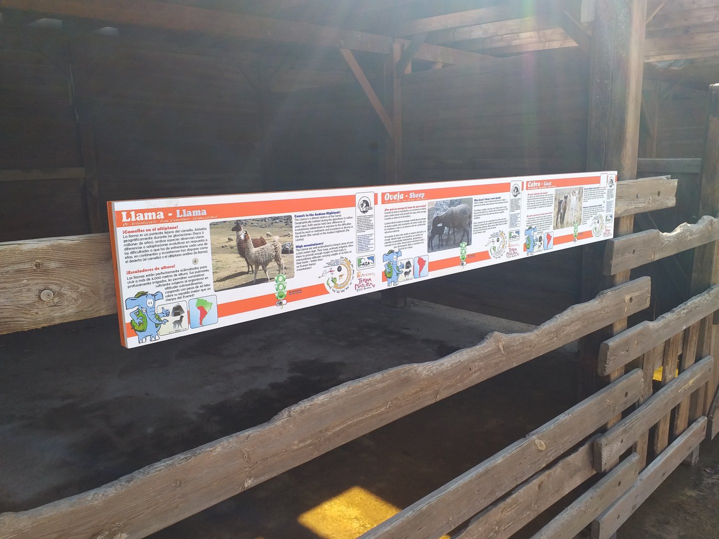 Llama, Domestic goat and Domestic sheep signae -TerraNatura Benidorm (2021)