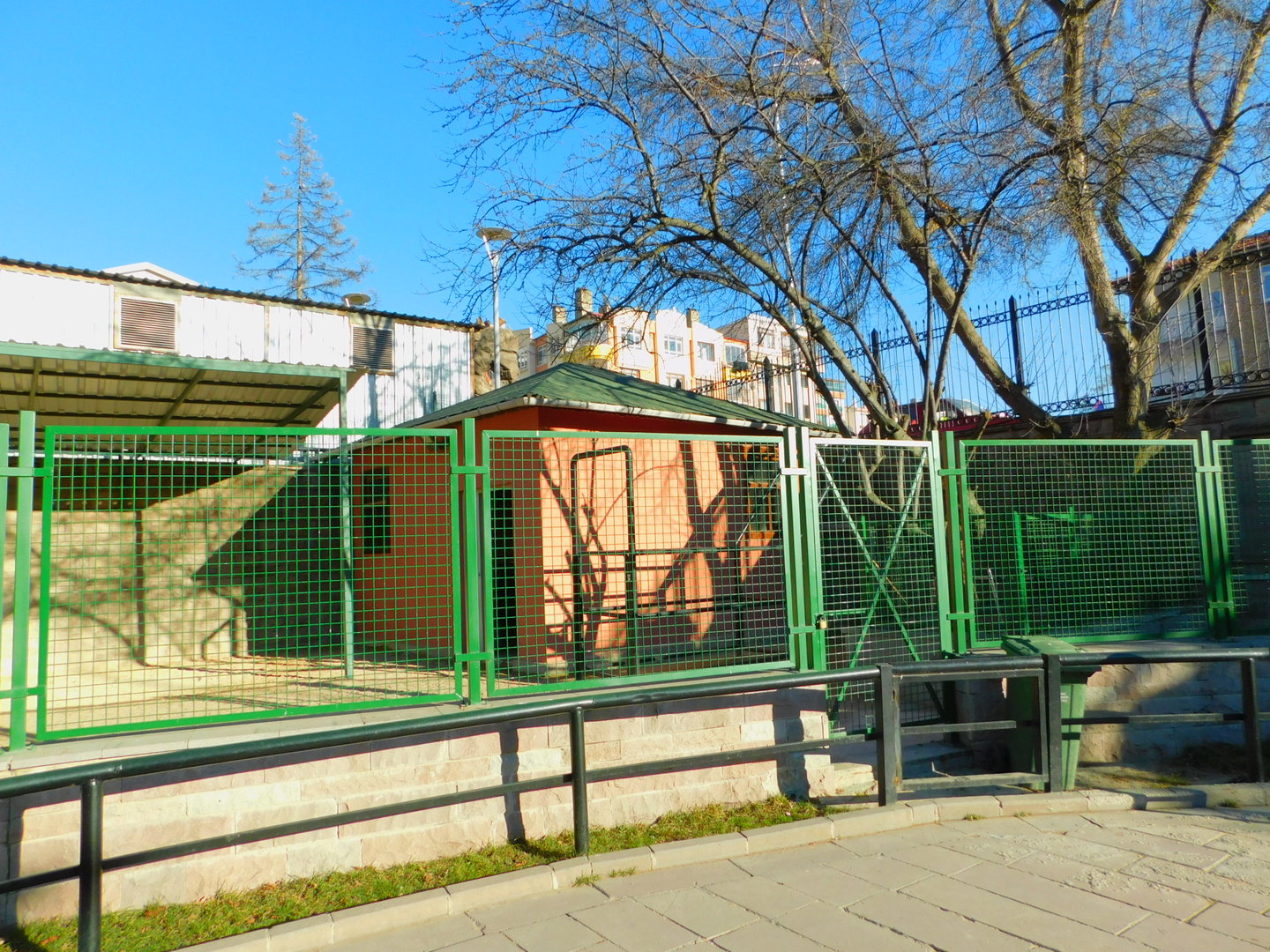 Llama Enclosure at the Ankara Domestic Animals Park