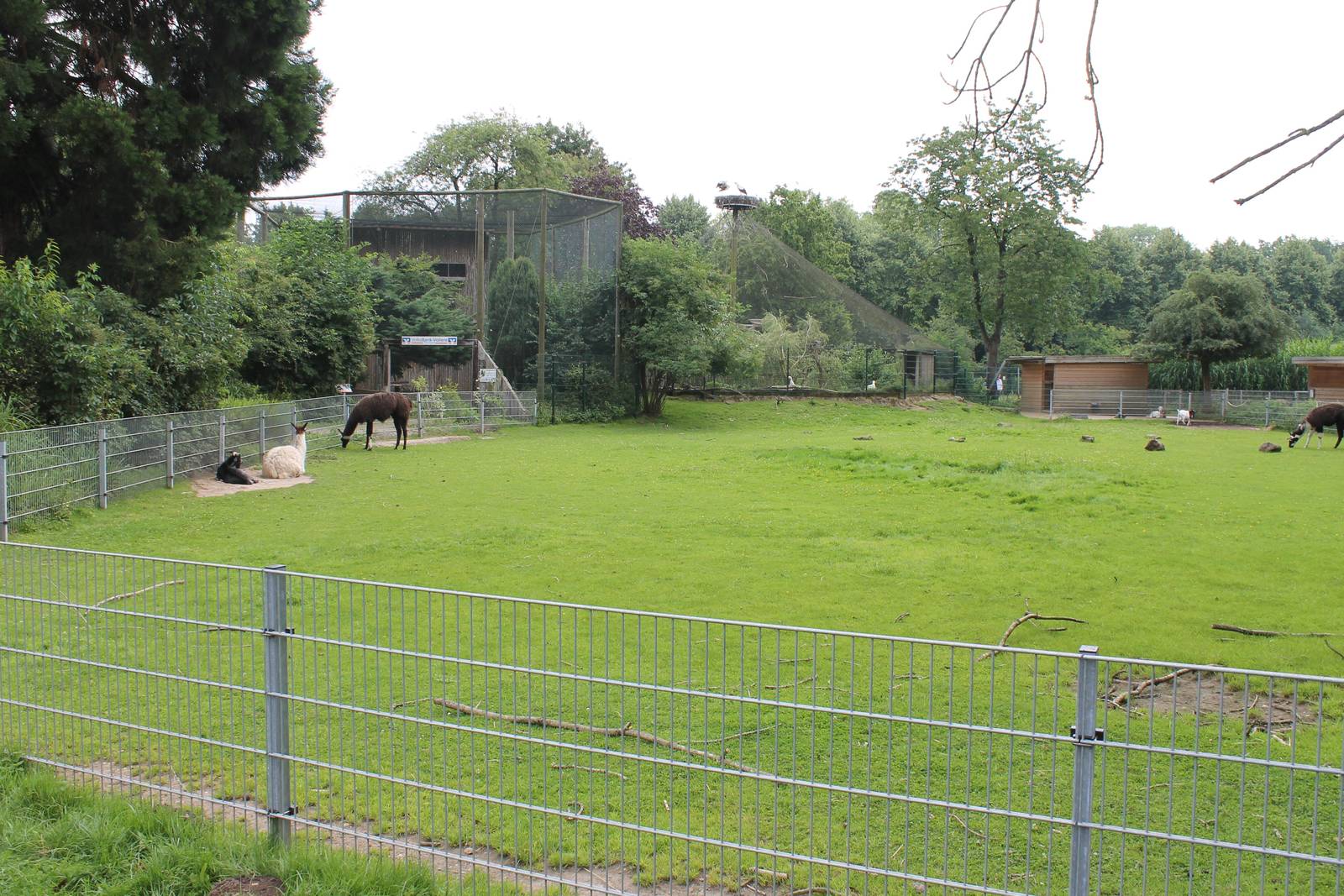 Llama enclosure