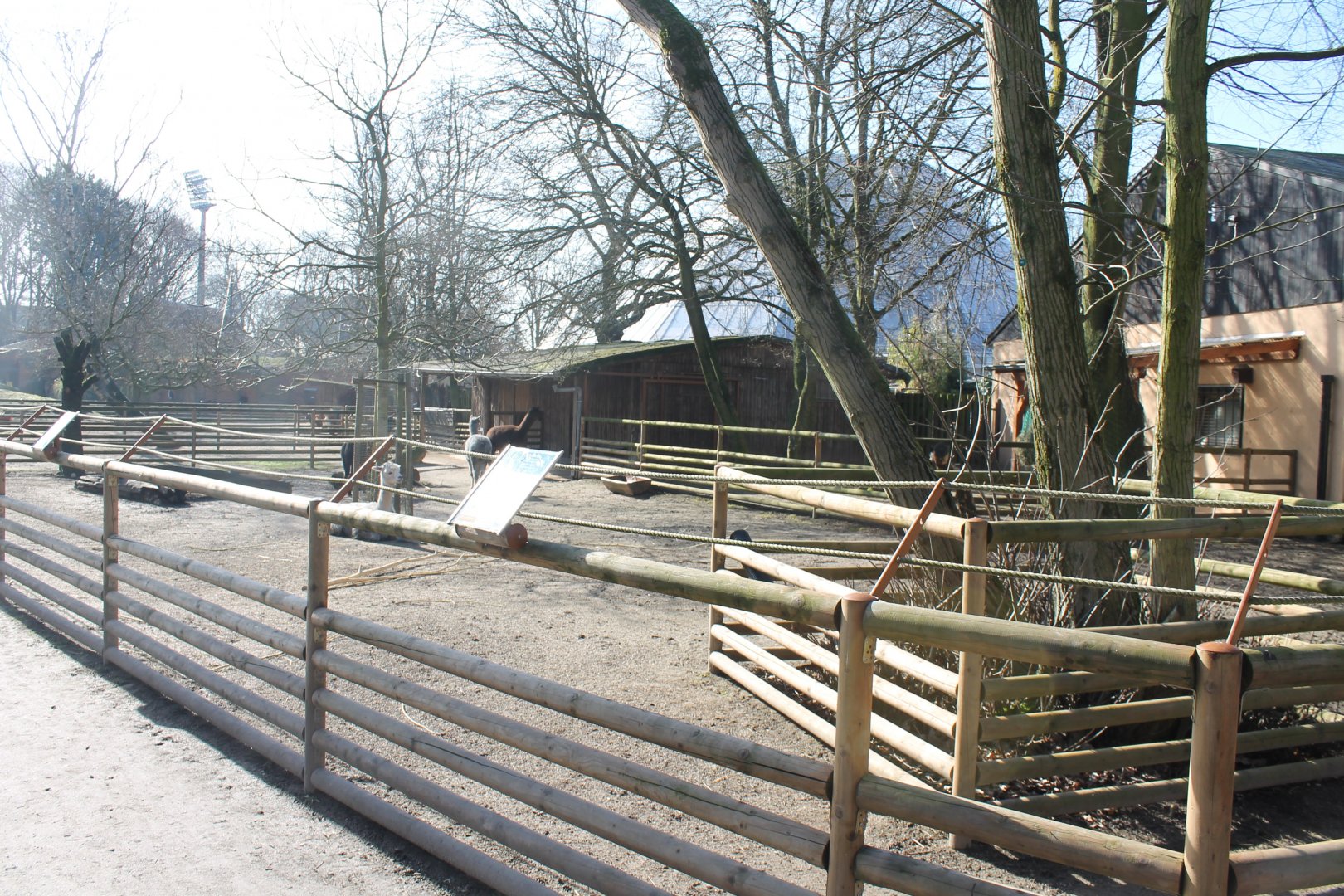 Llama-enclosure