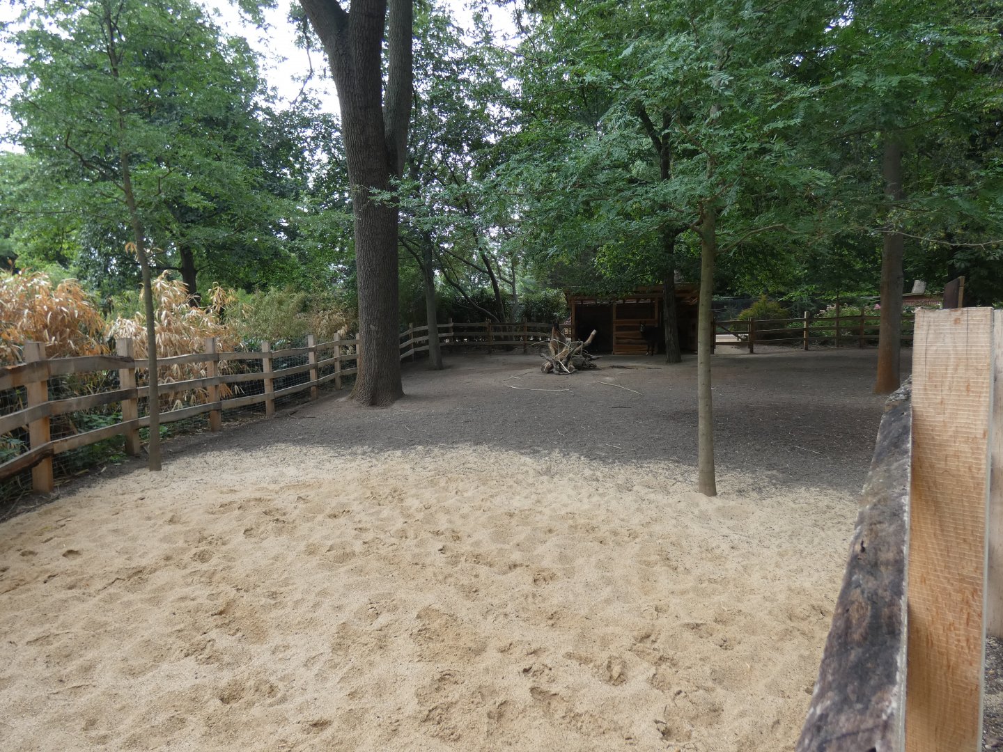 Llama enclosure