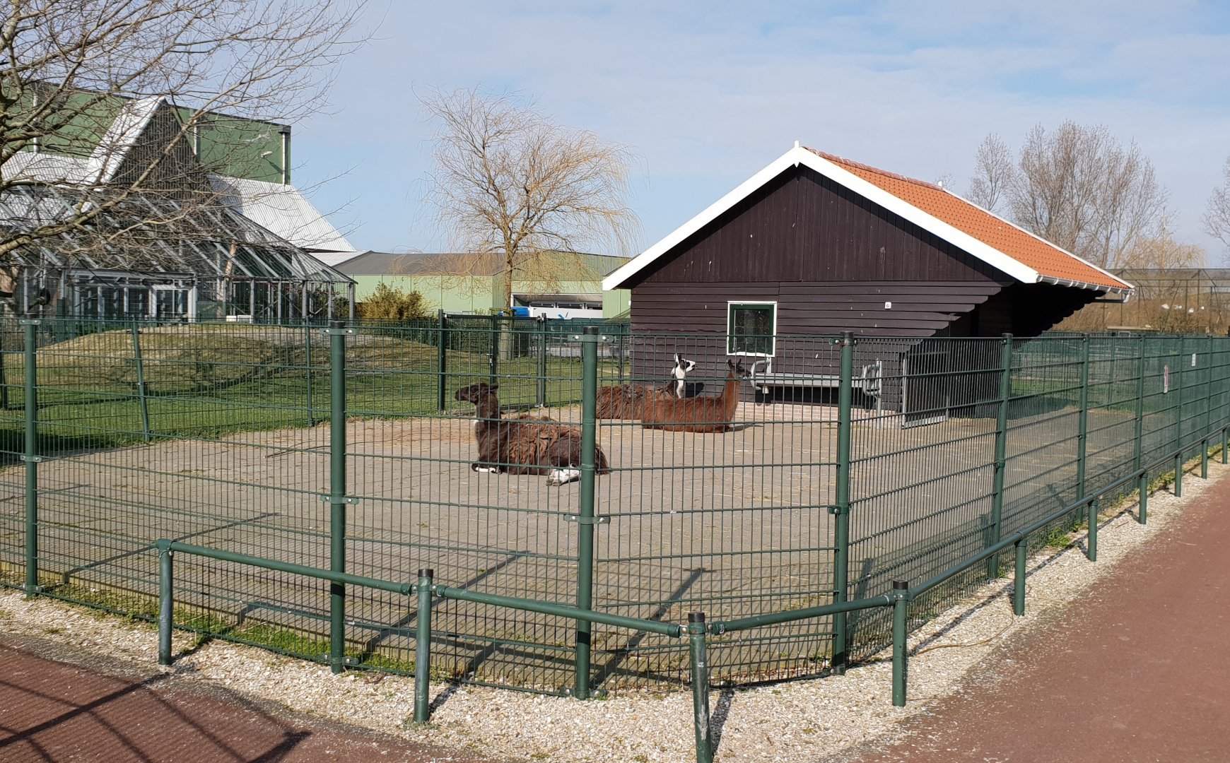Llama enclosure
