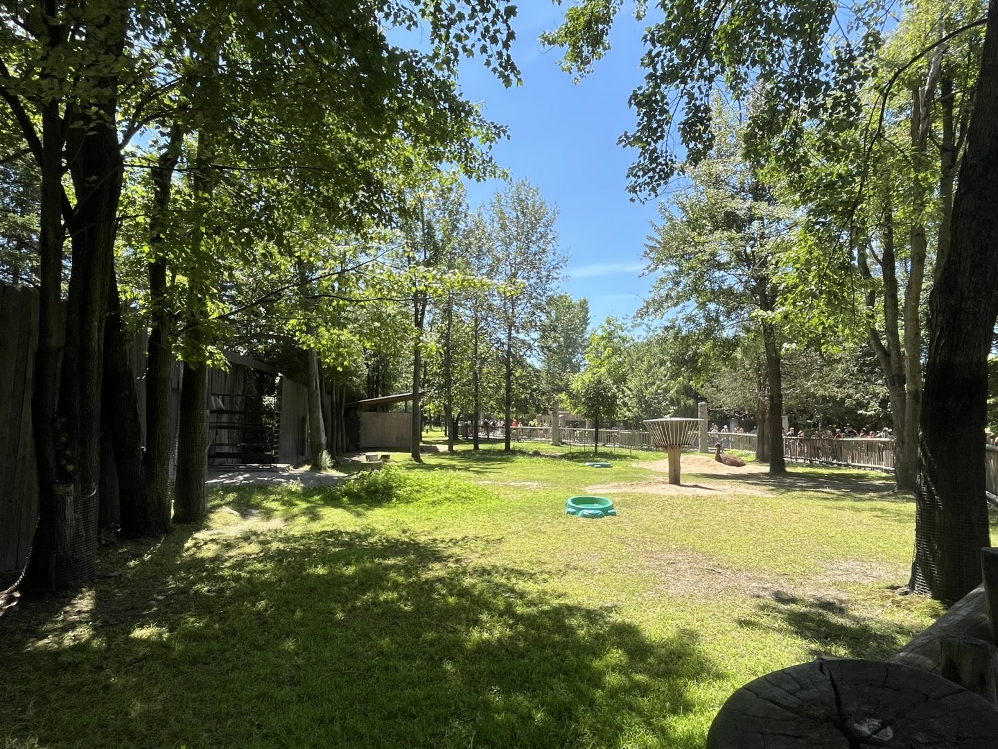 Llama exhibit in the South America Pavillion