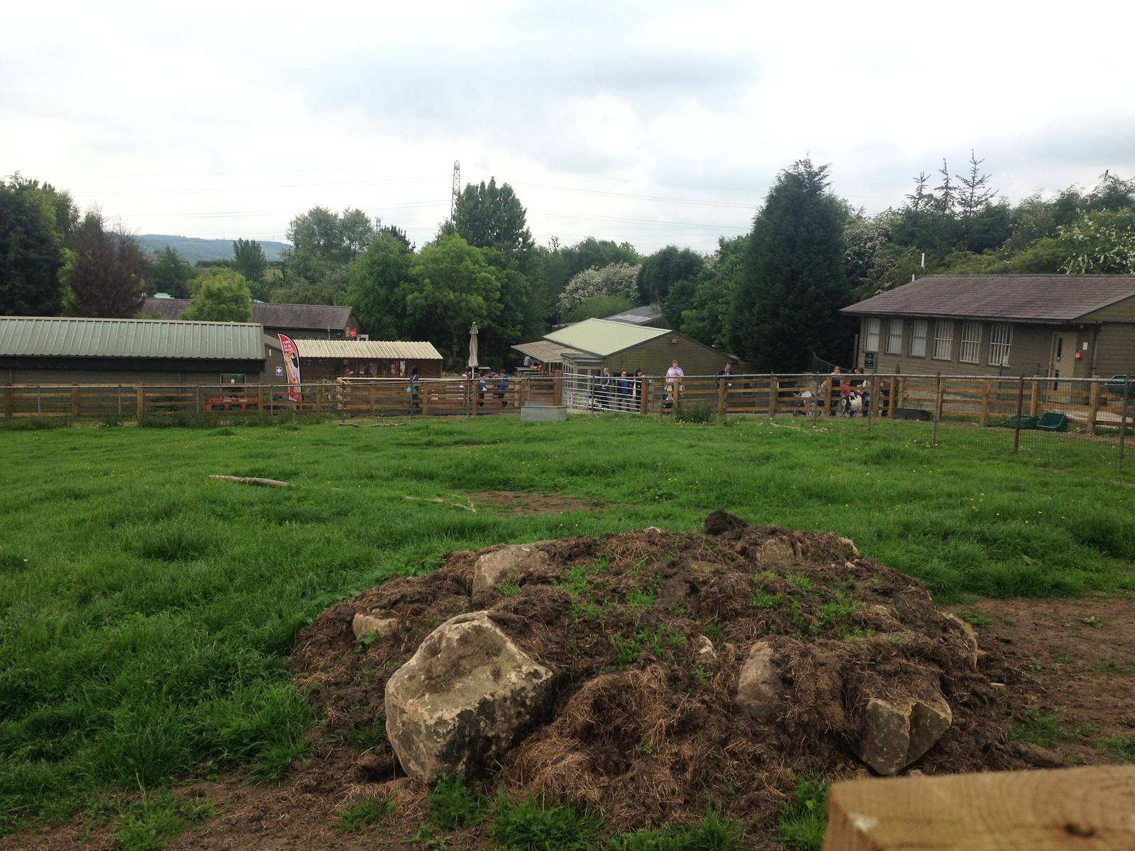 Llama Field at Ponderosa Rural Thereapeutic Centre