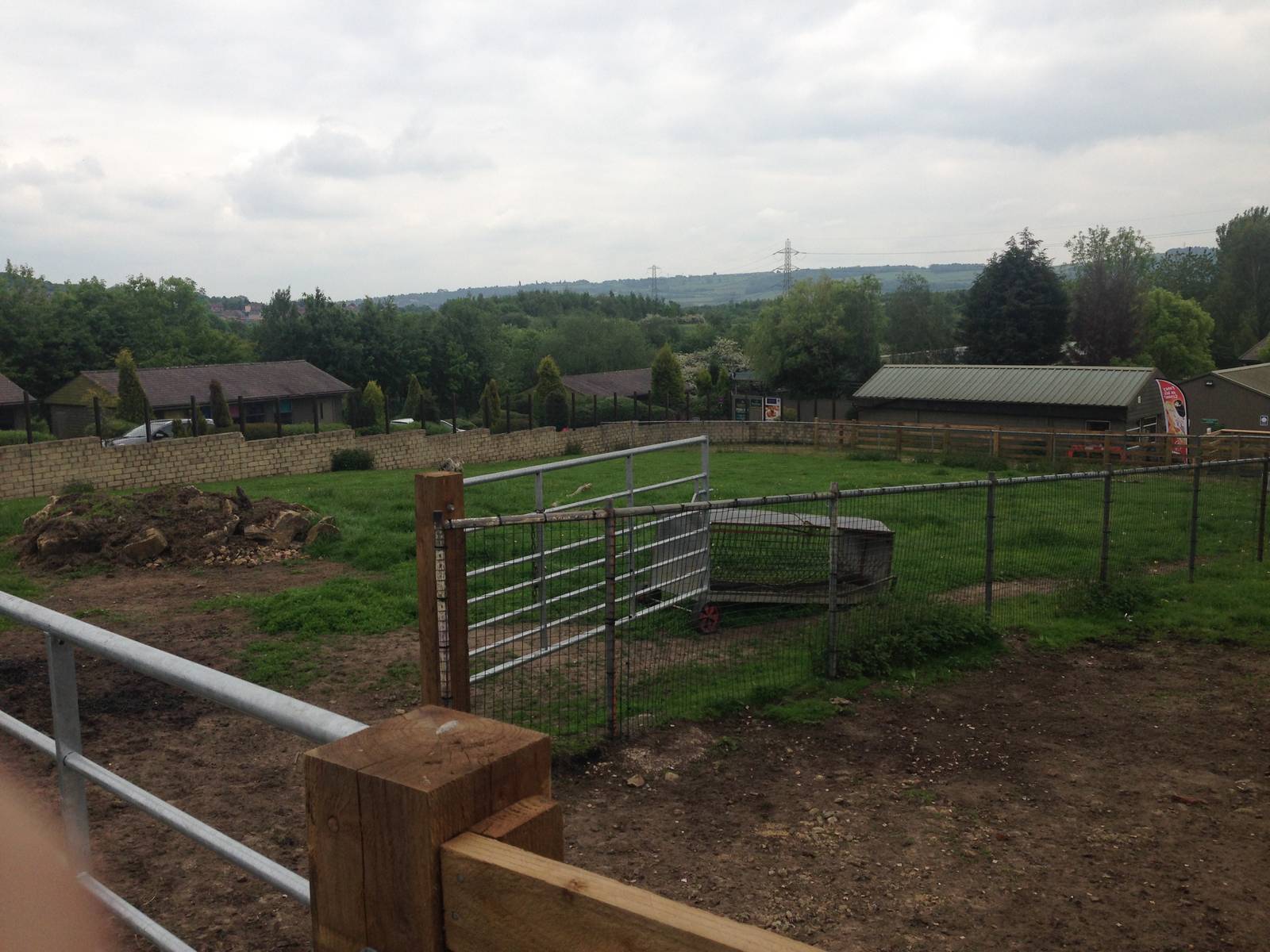 Llama Field at Ponderosa Rural Thereapeutic Centre