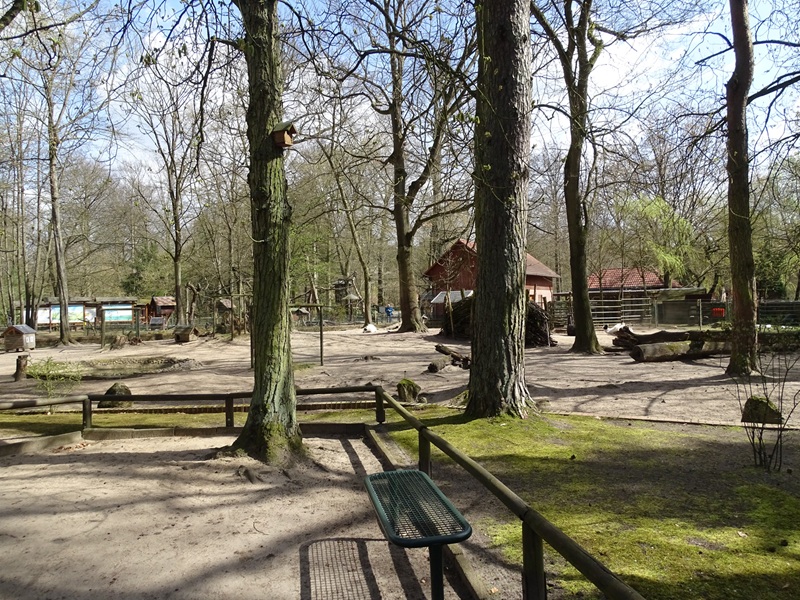 Llama / greater rhea enclosure