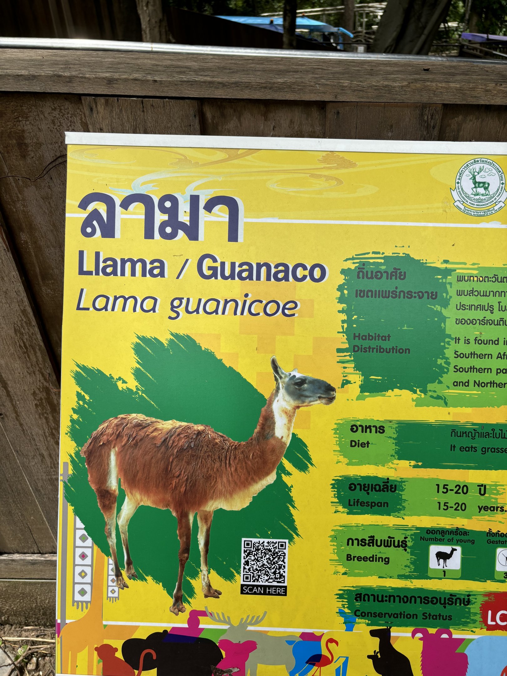 Llama/Guanaco Sign