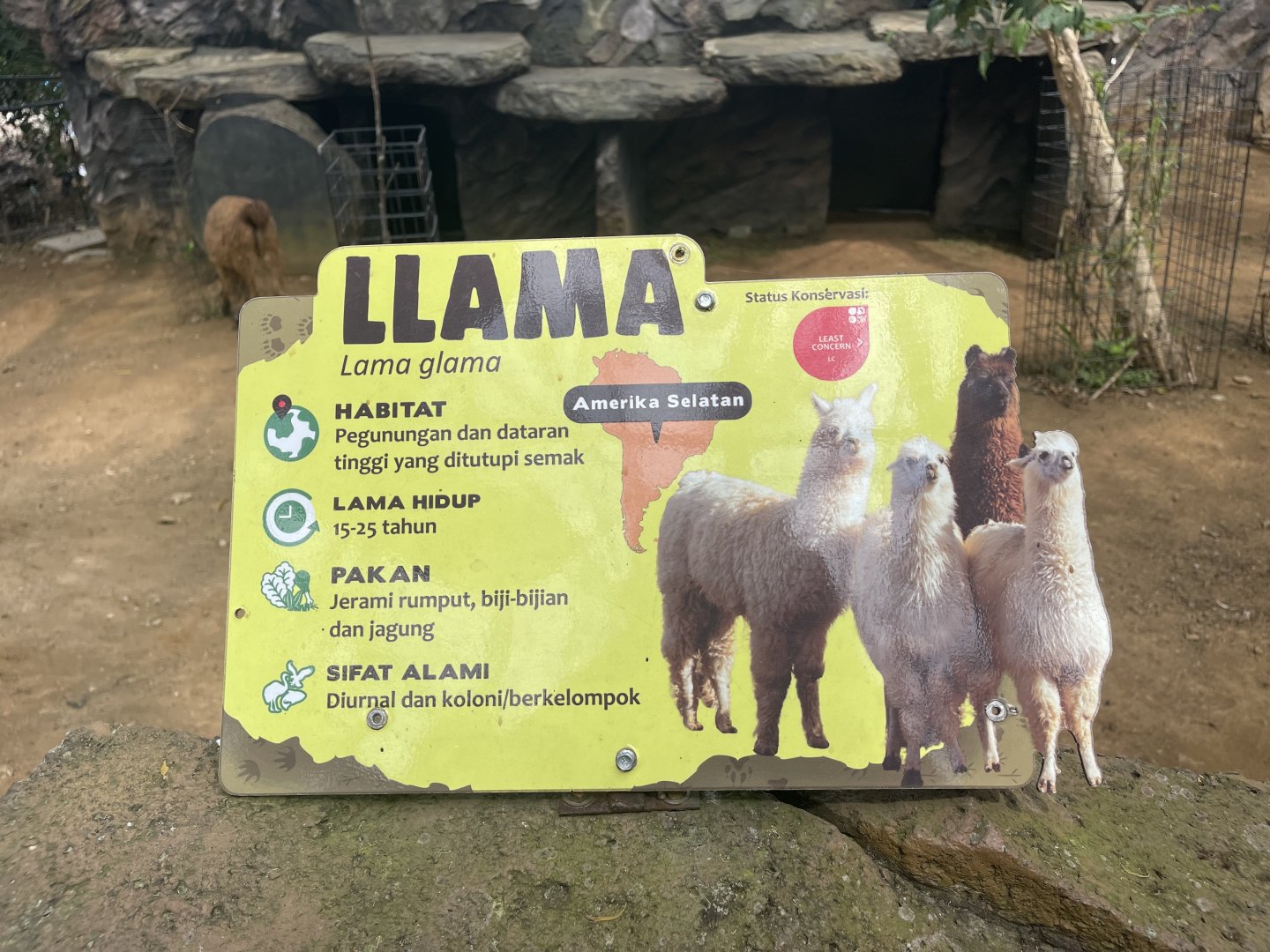 llama signage (1)