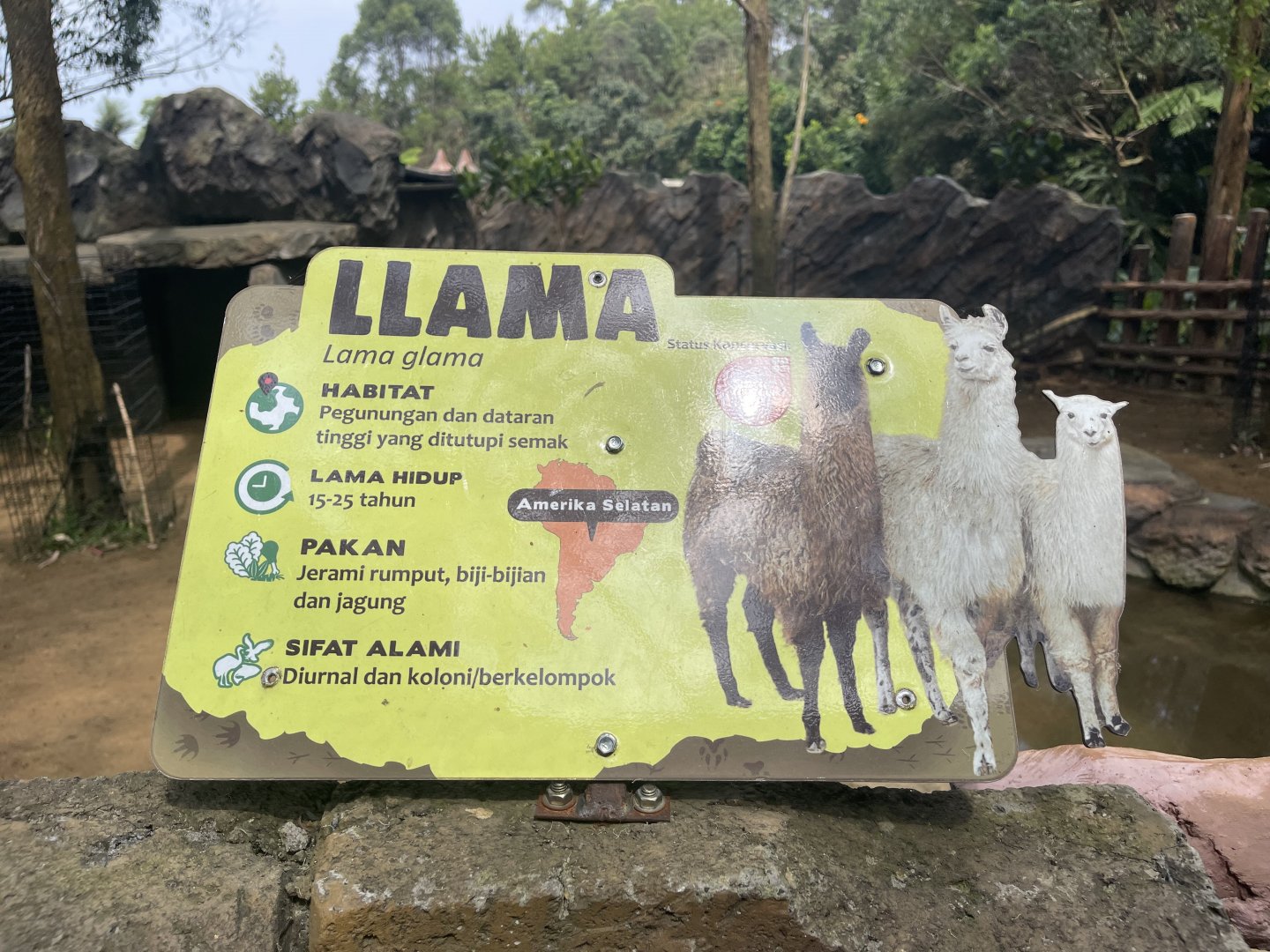 llama signage (2)