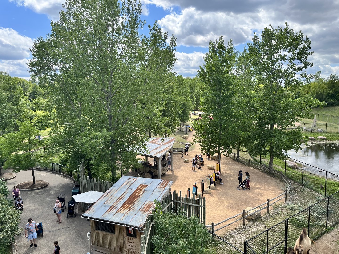 Llama Trek from the Treetop Trail