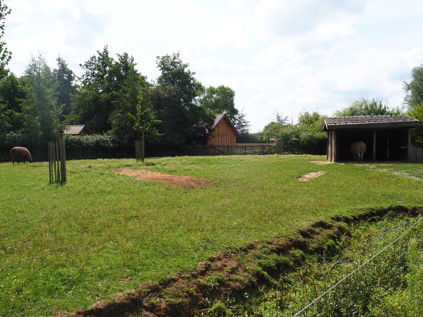 Llama yard