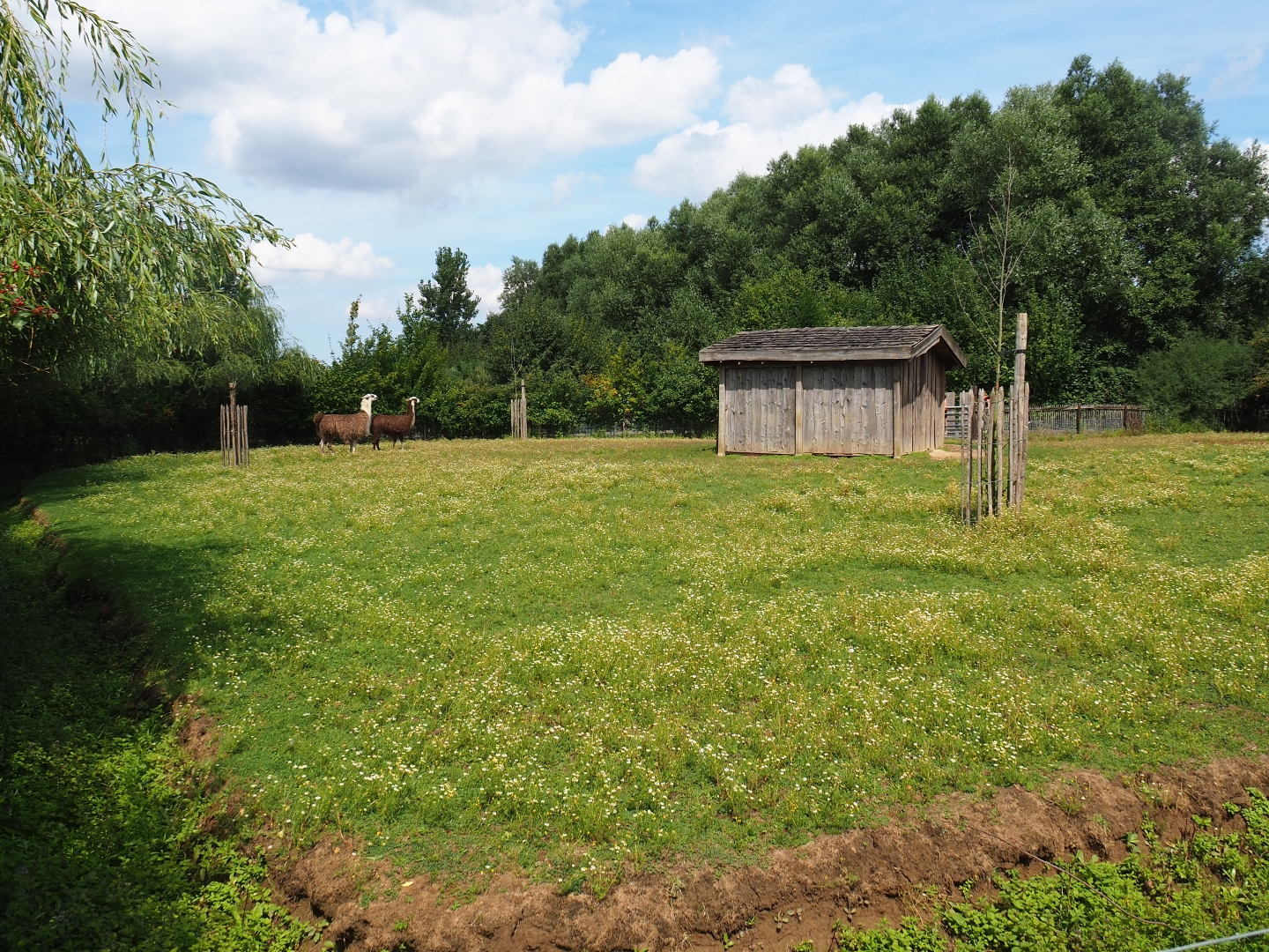 Llama yard