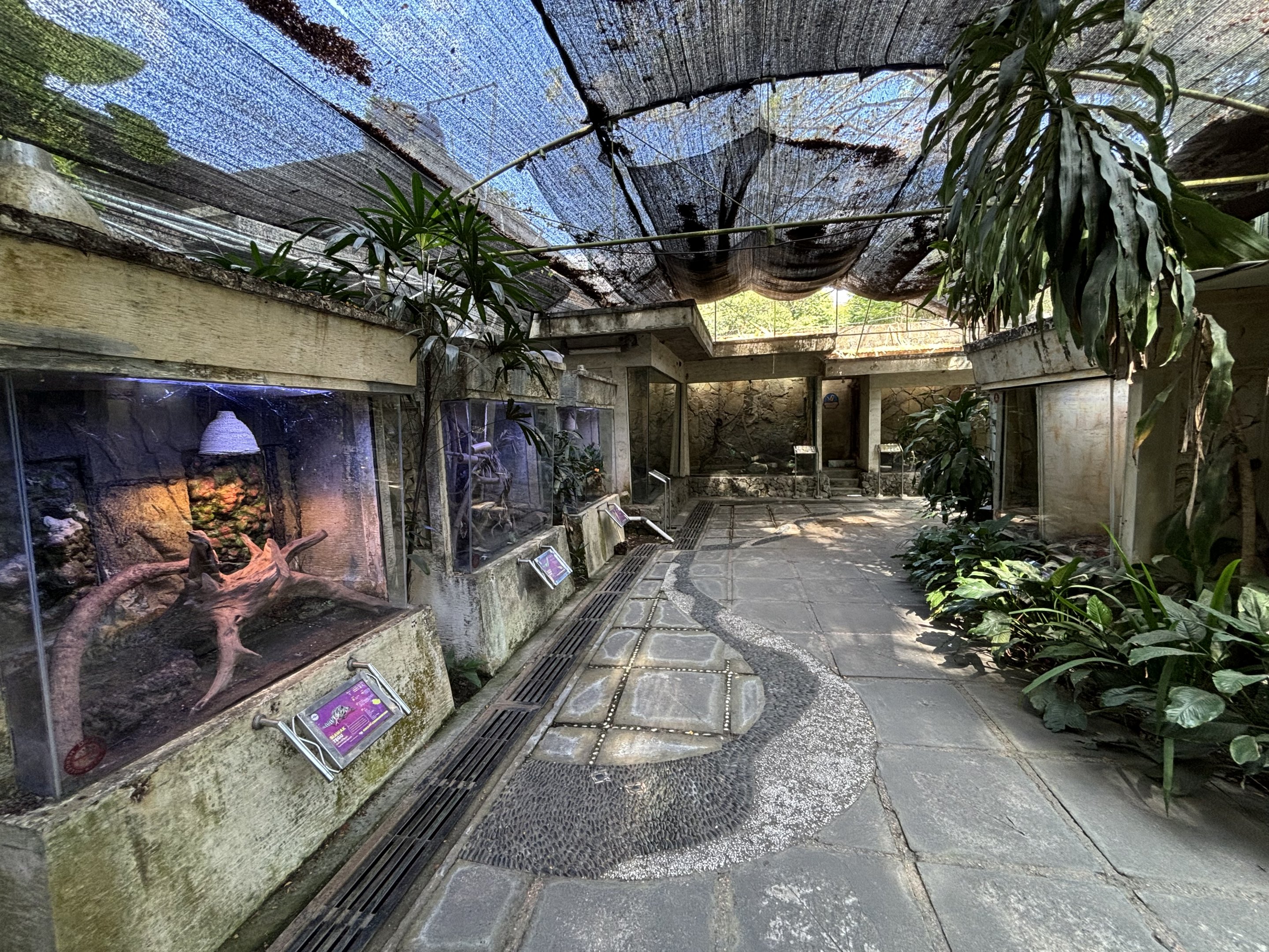 Loads of outdoor reptile exhibits at this zoo