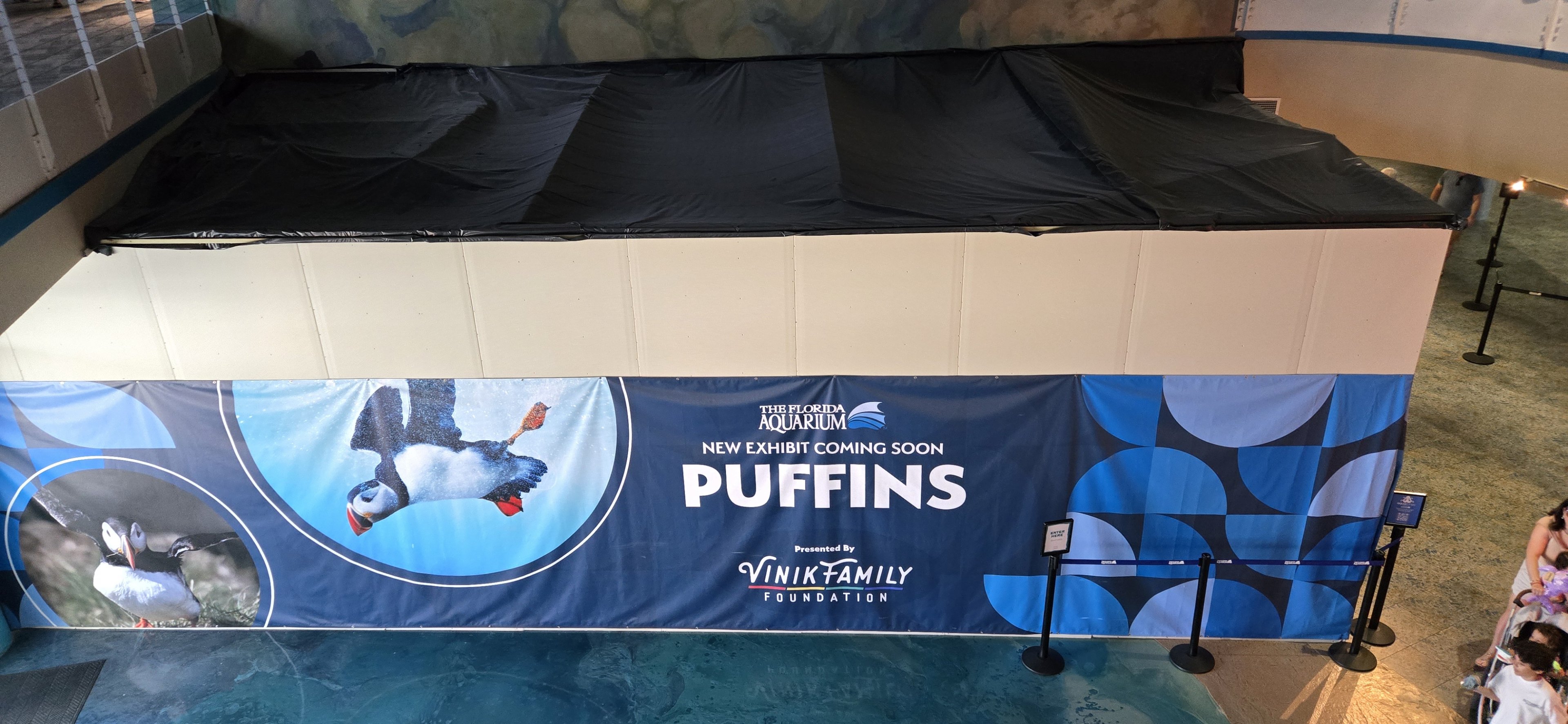 Lobby - Puffin construction