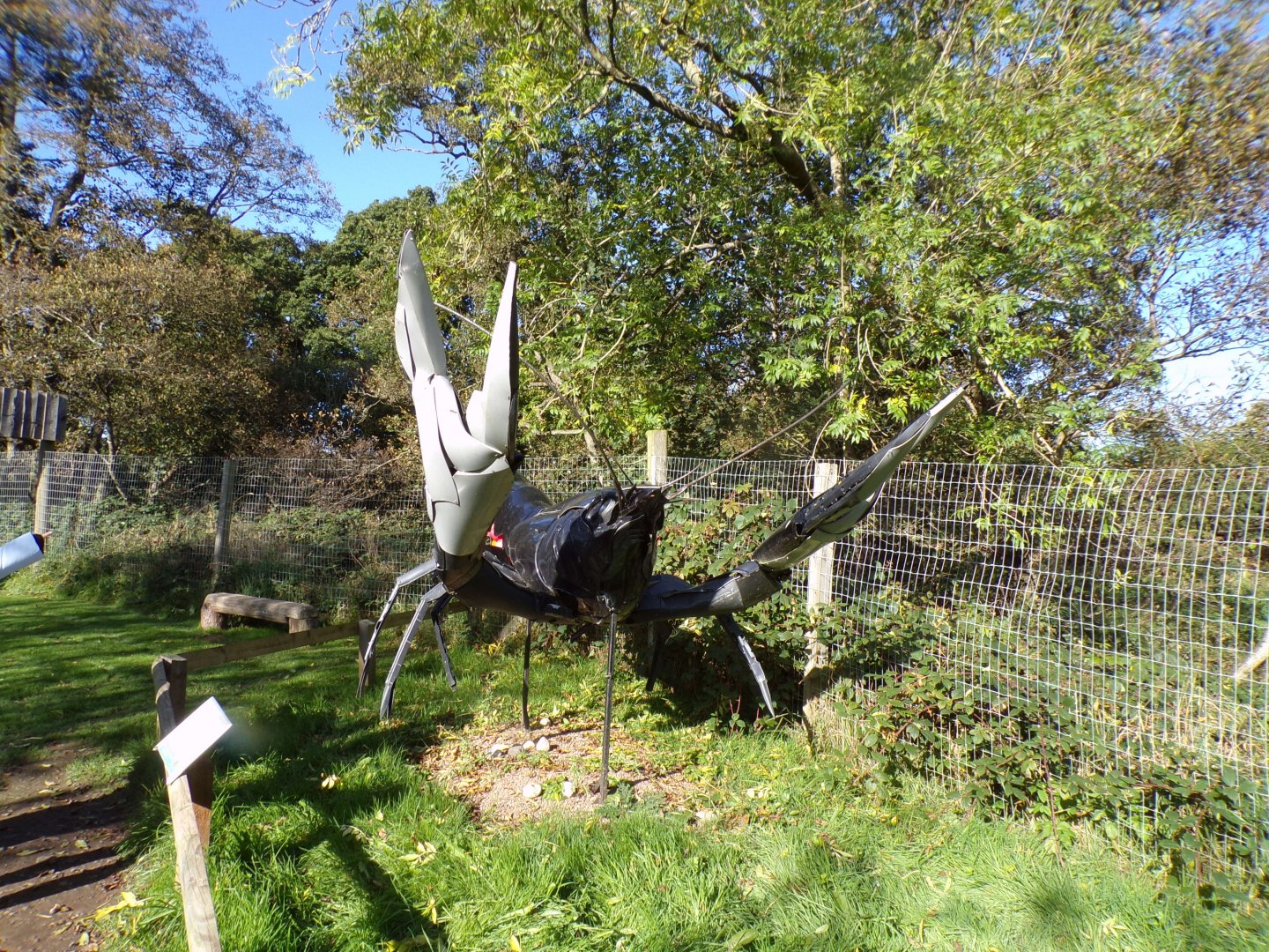 Lobster statue 14.10.23